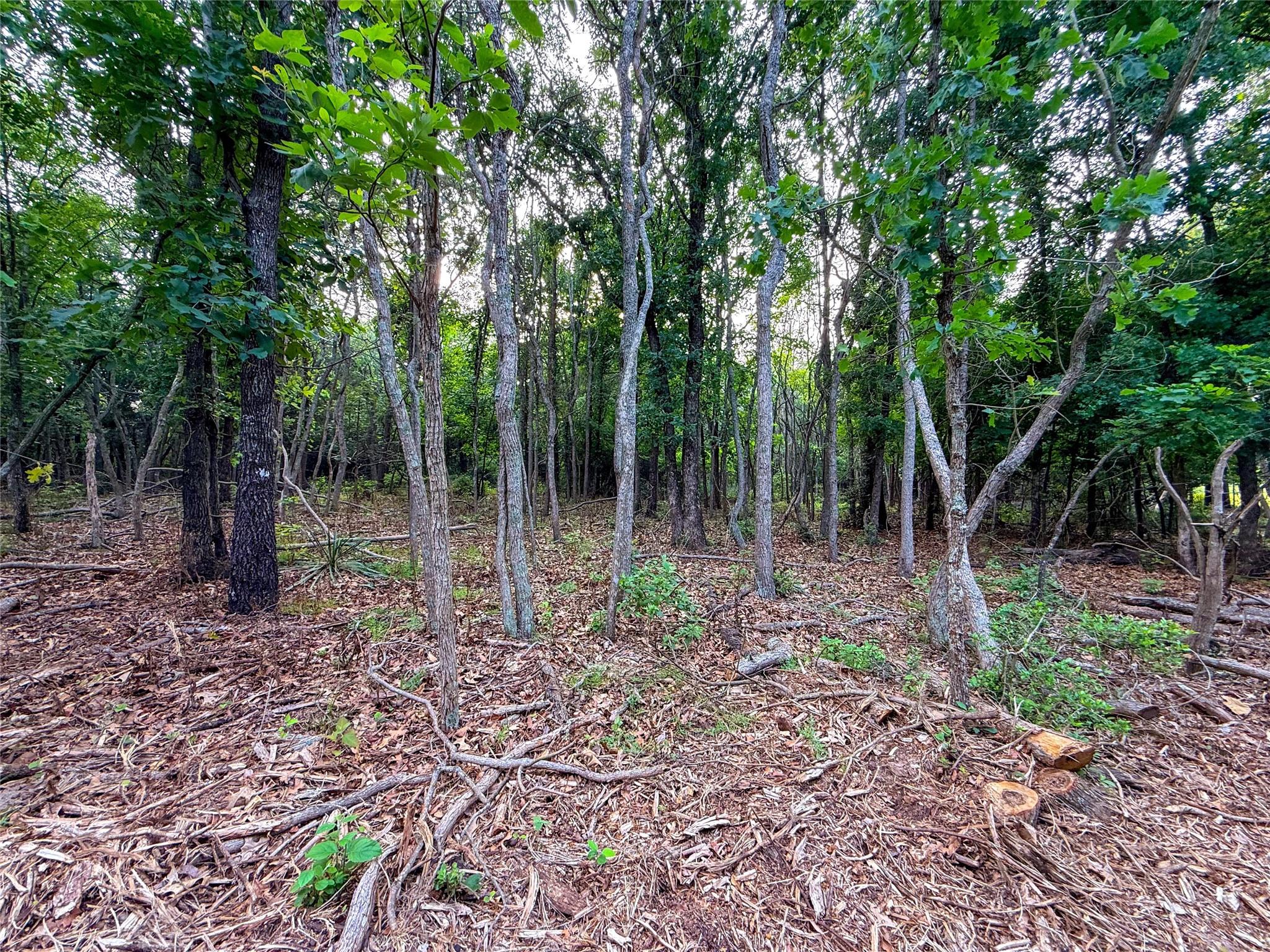 main property photo 30