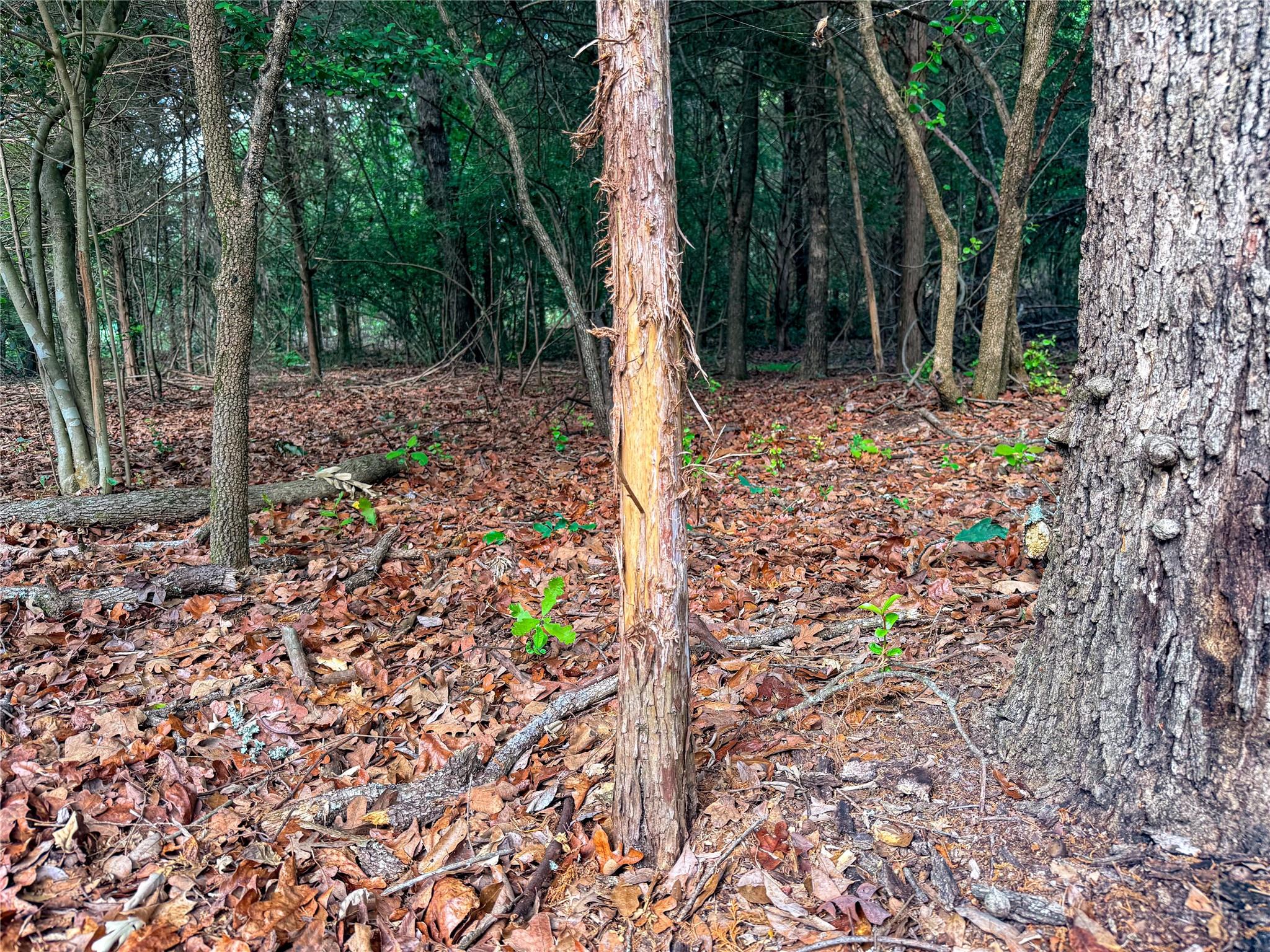 main property photo 38