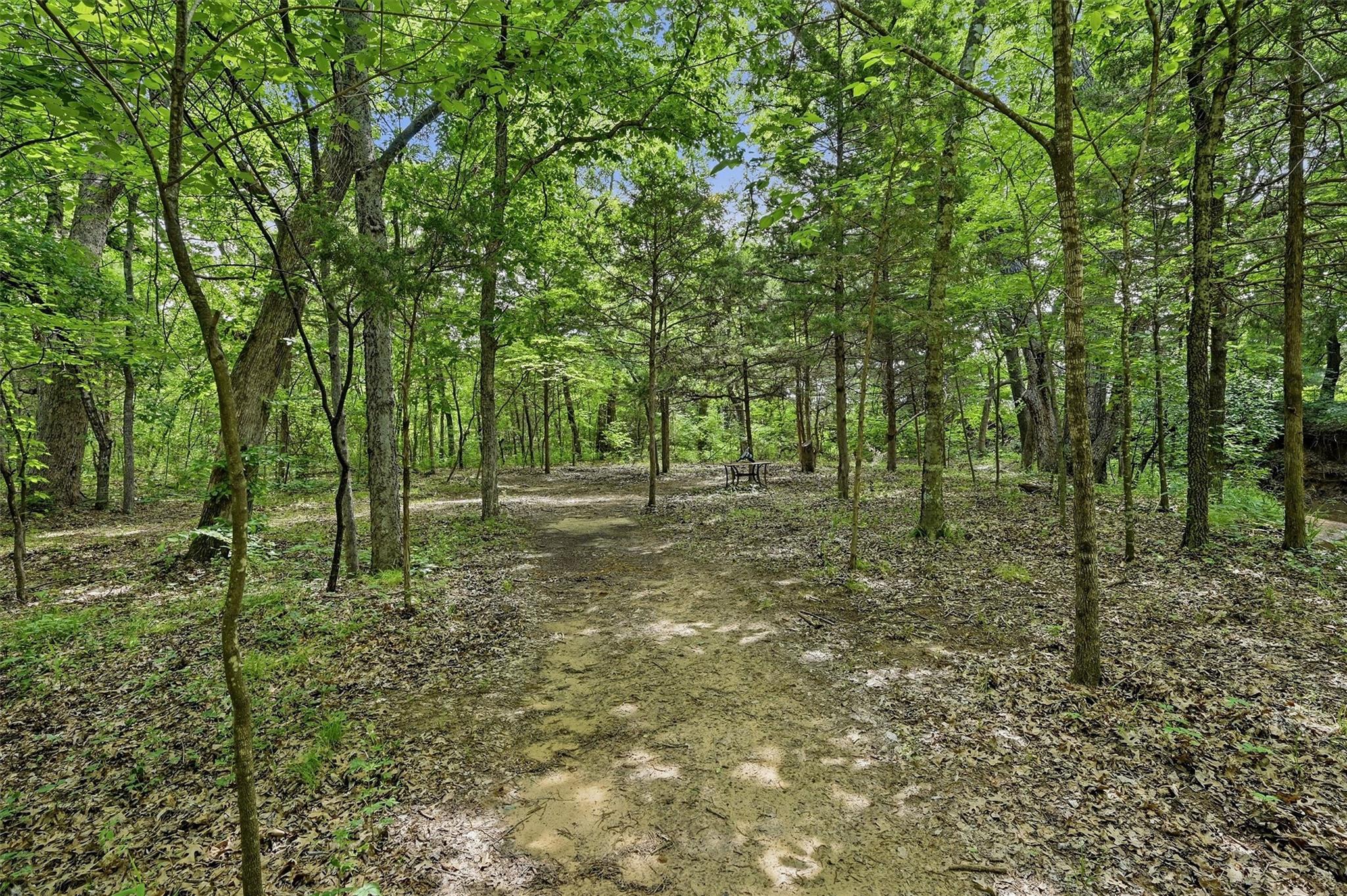 main property photo 33