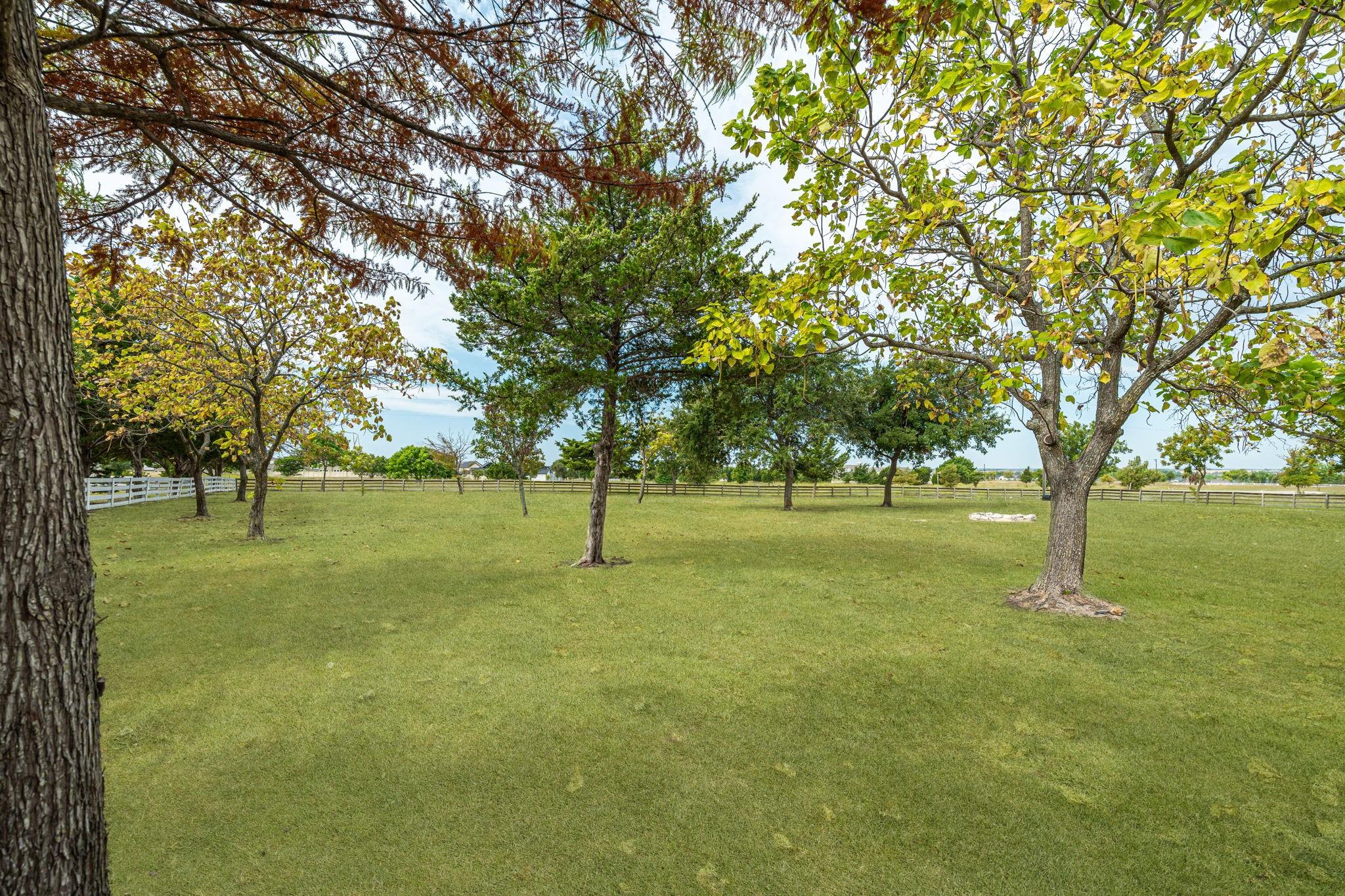 main property photo 29
