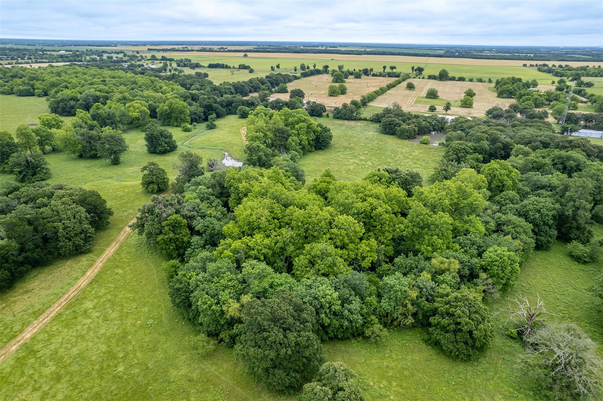 main property photo 12