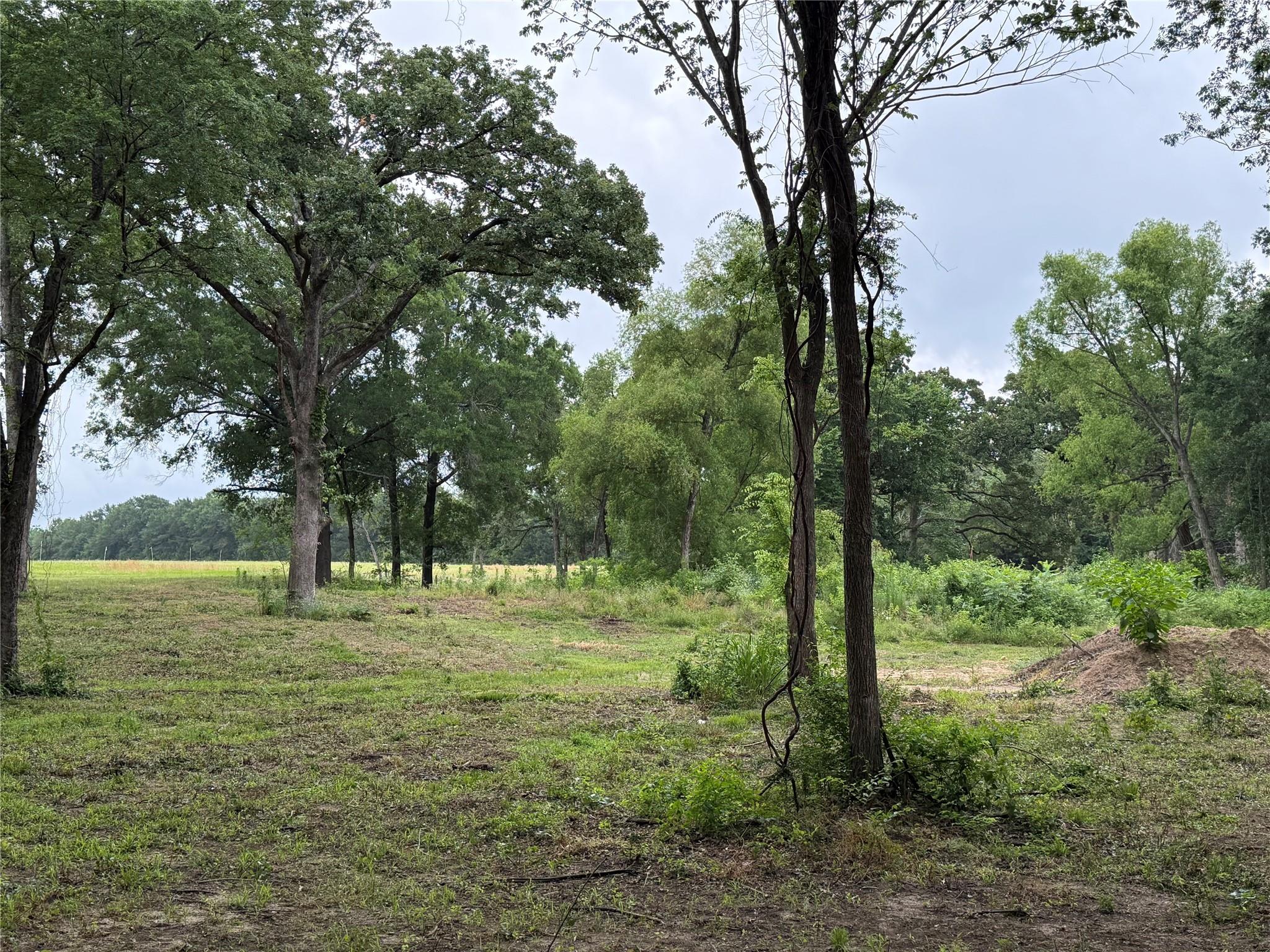 main property photo 4