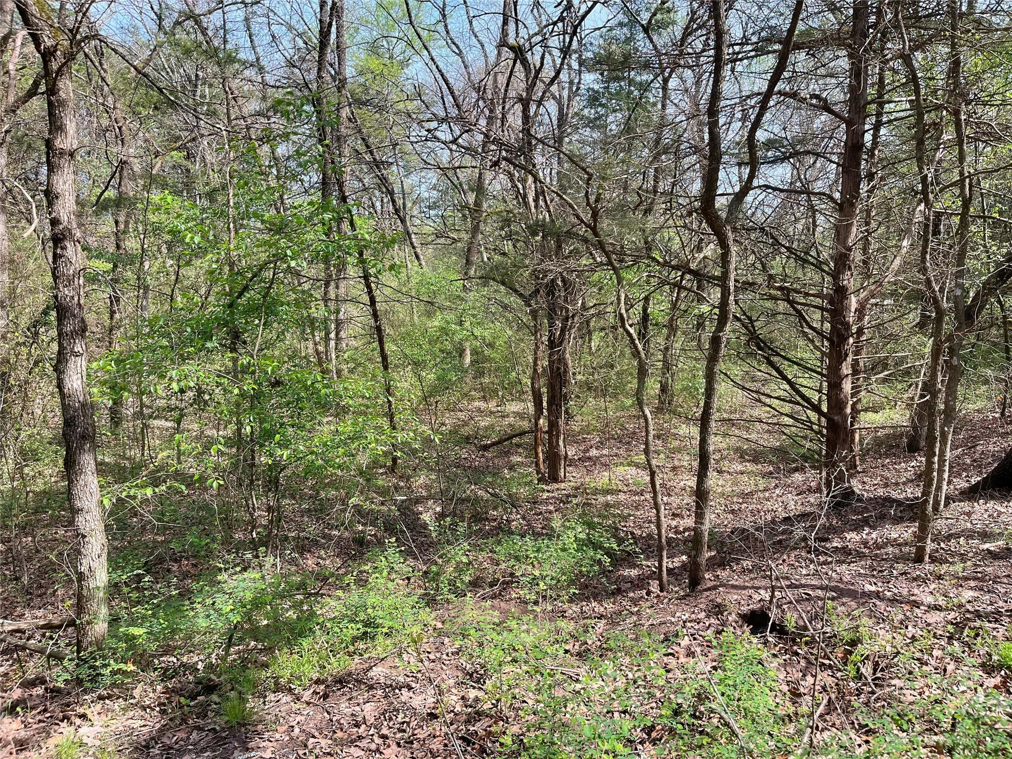 main property photo 12