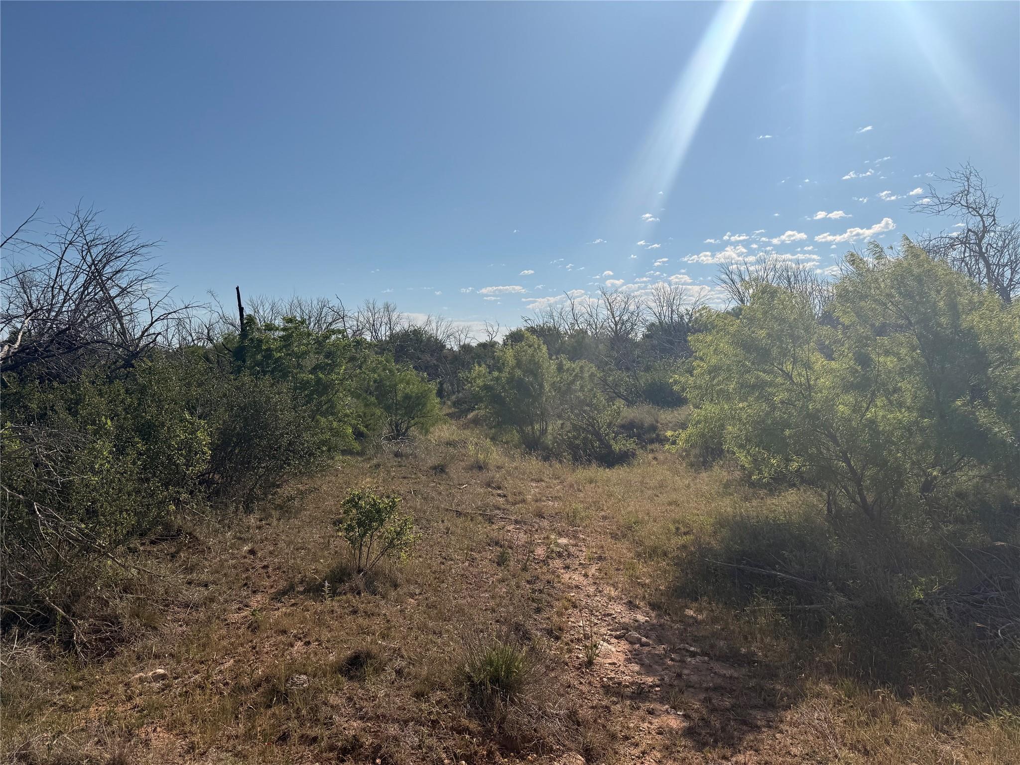 main property photo 11