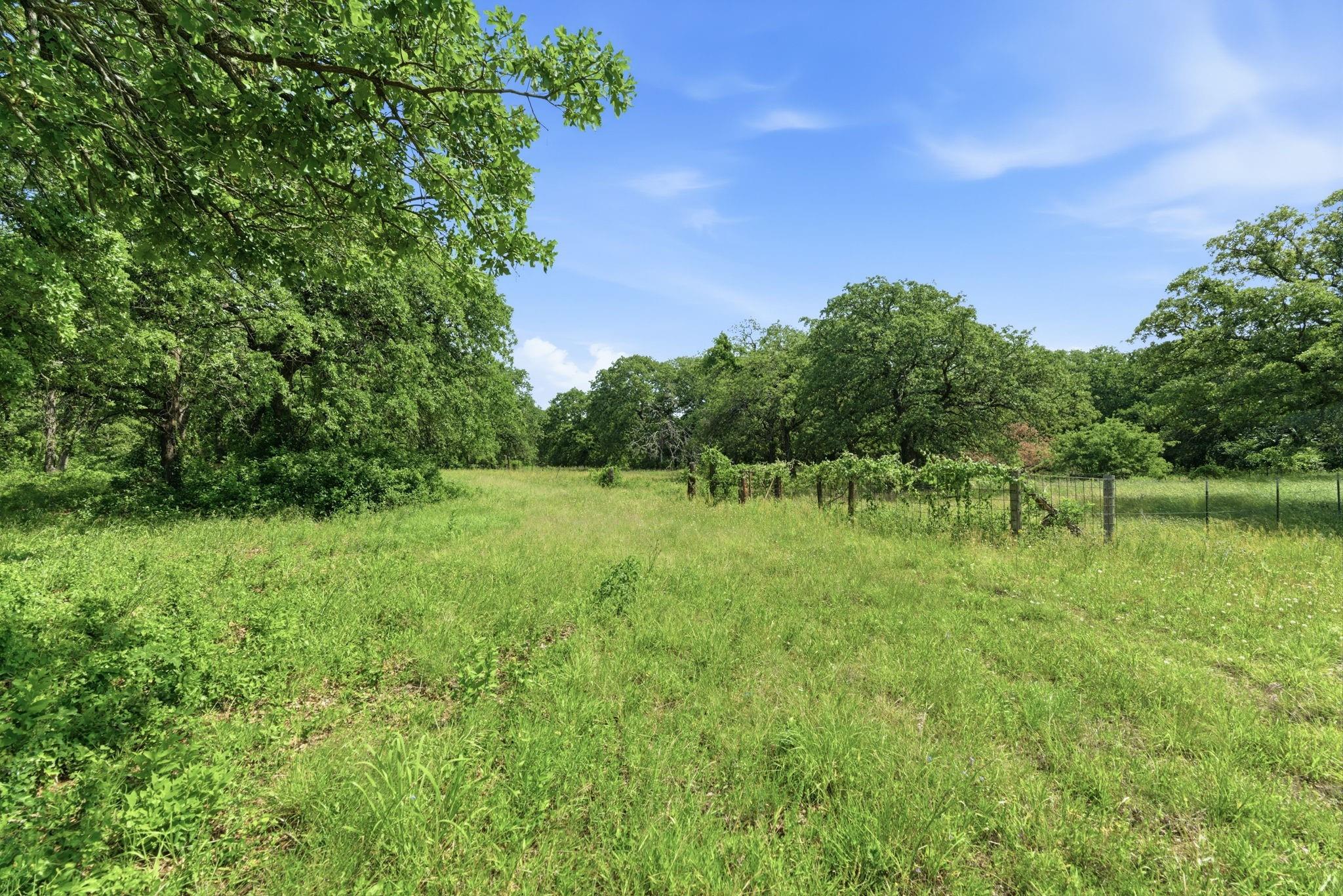 main property photo 29