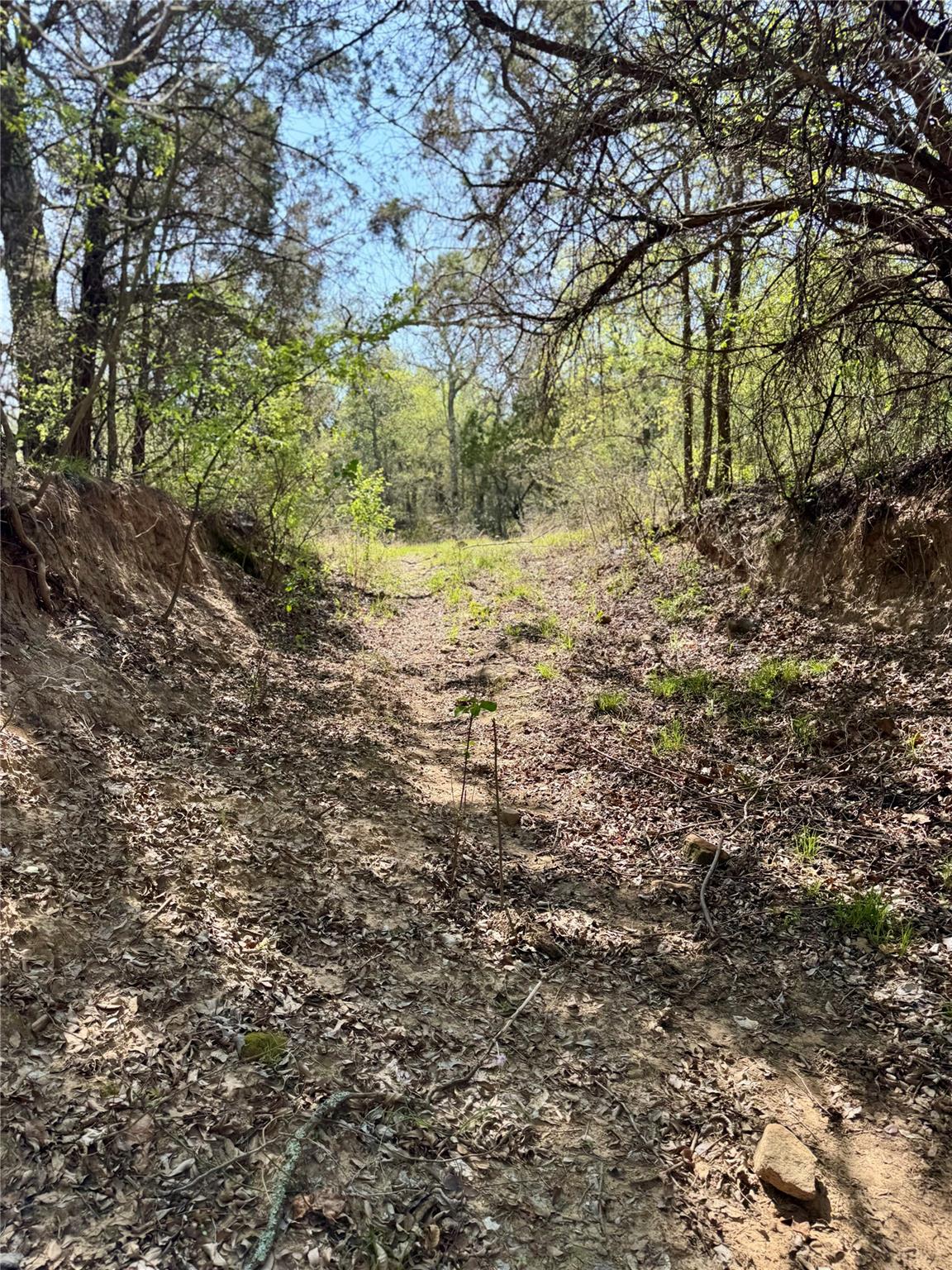 main property photo 10