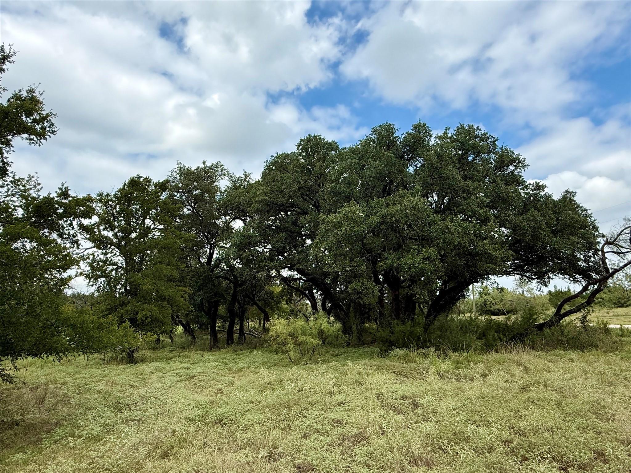 main property photo 10