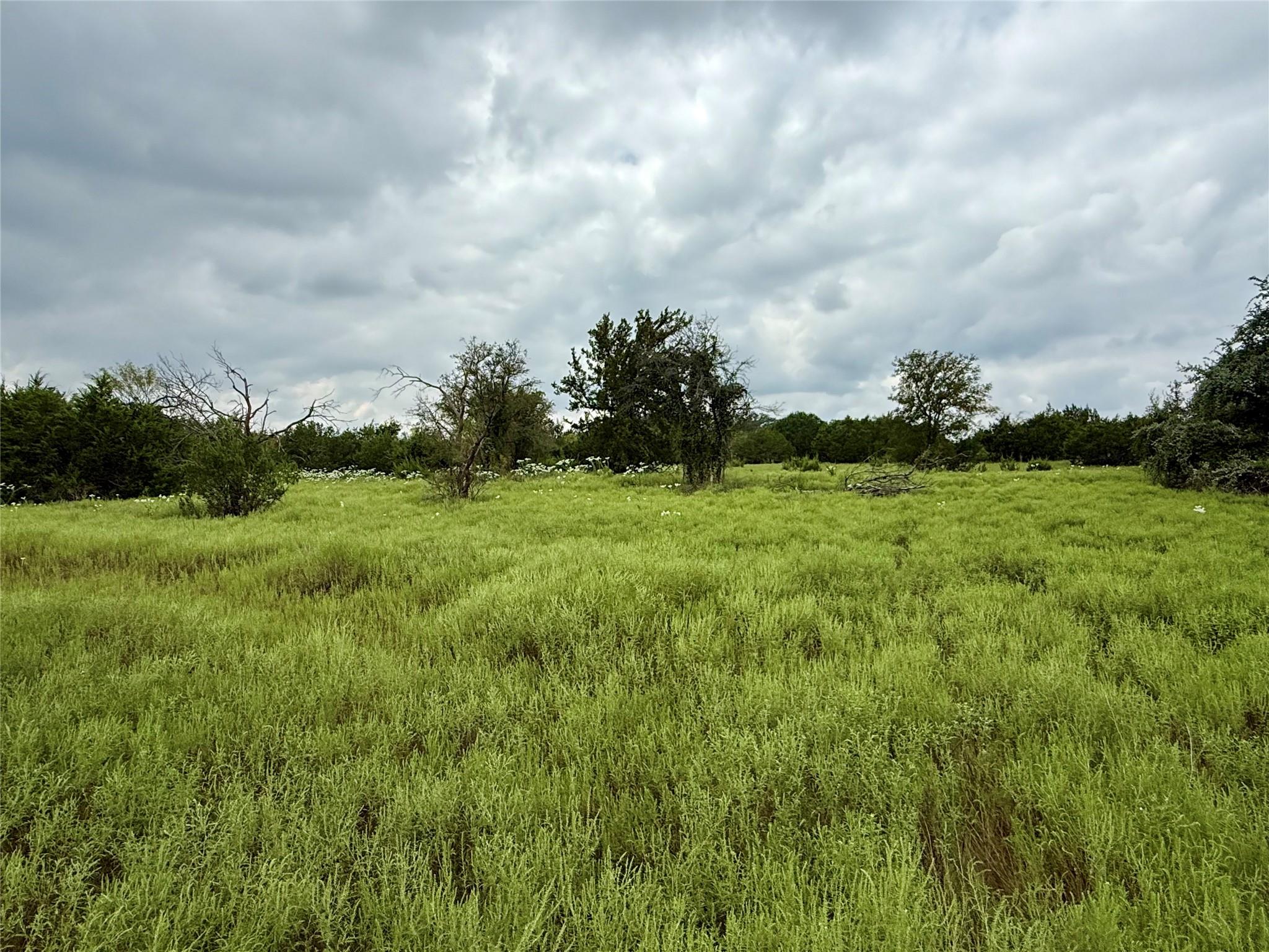 main property photo 12