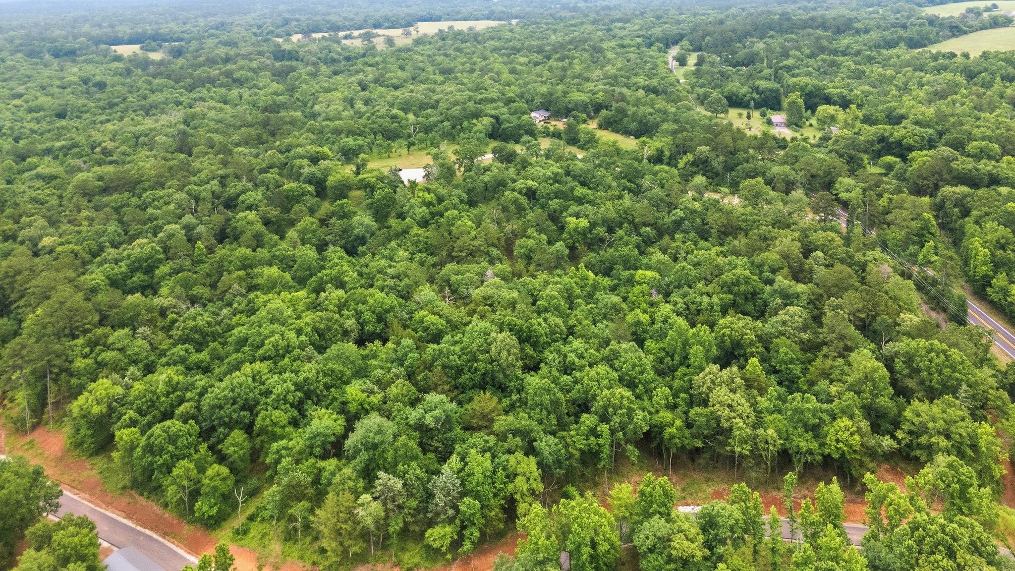 main property photo 13