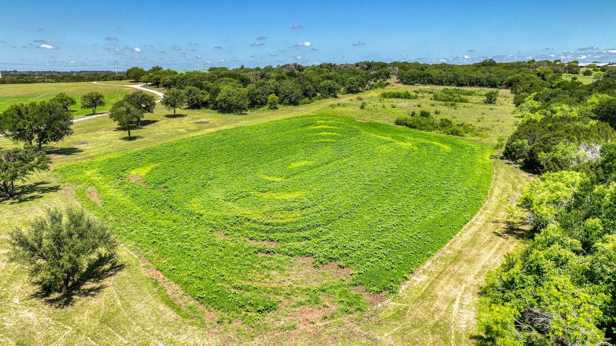 main property photo 37