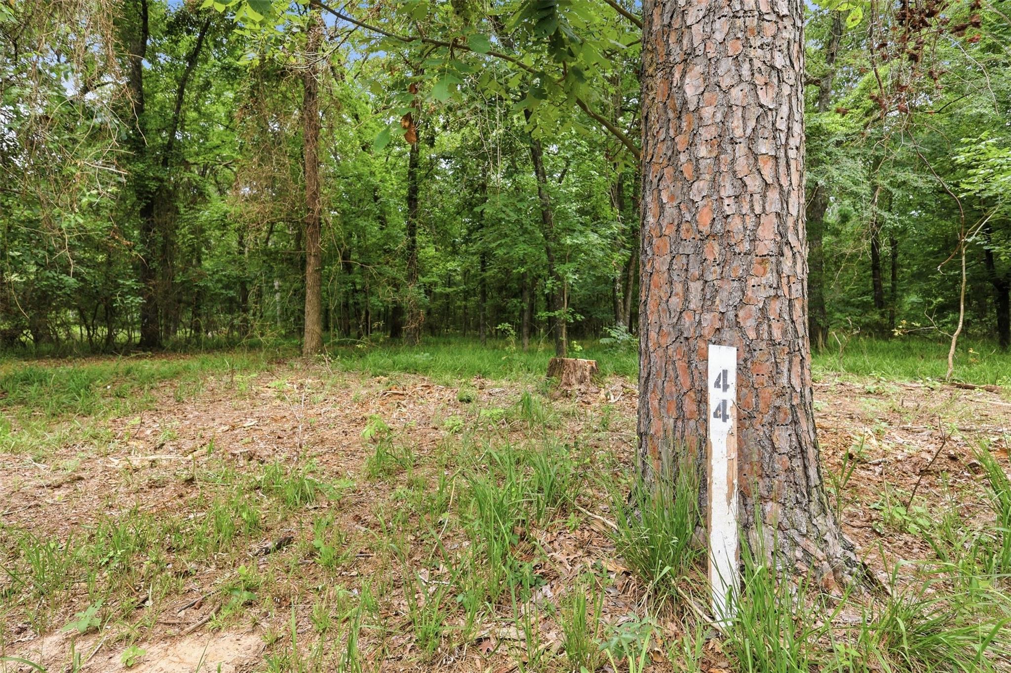 main property photo 0