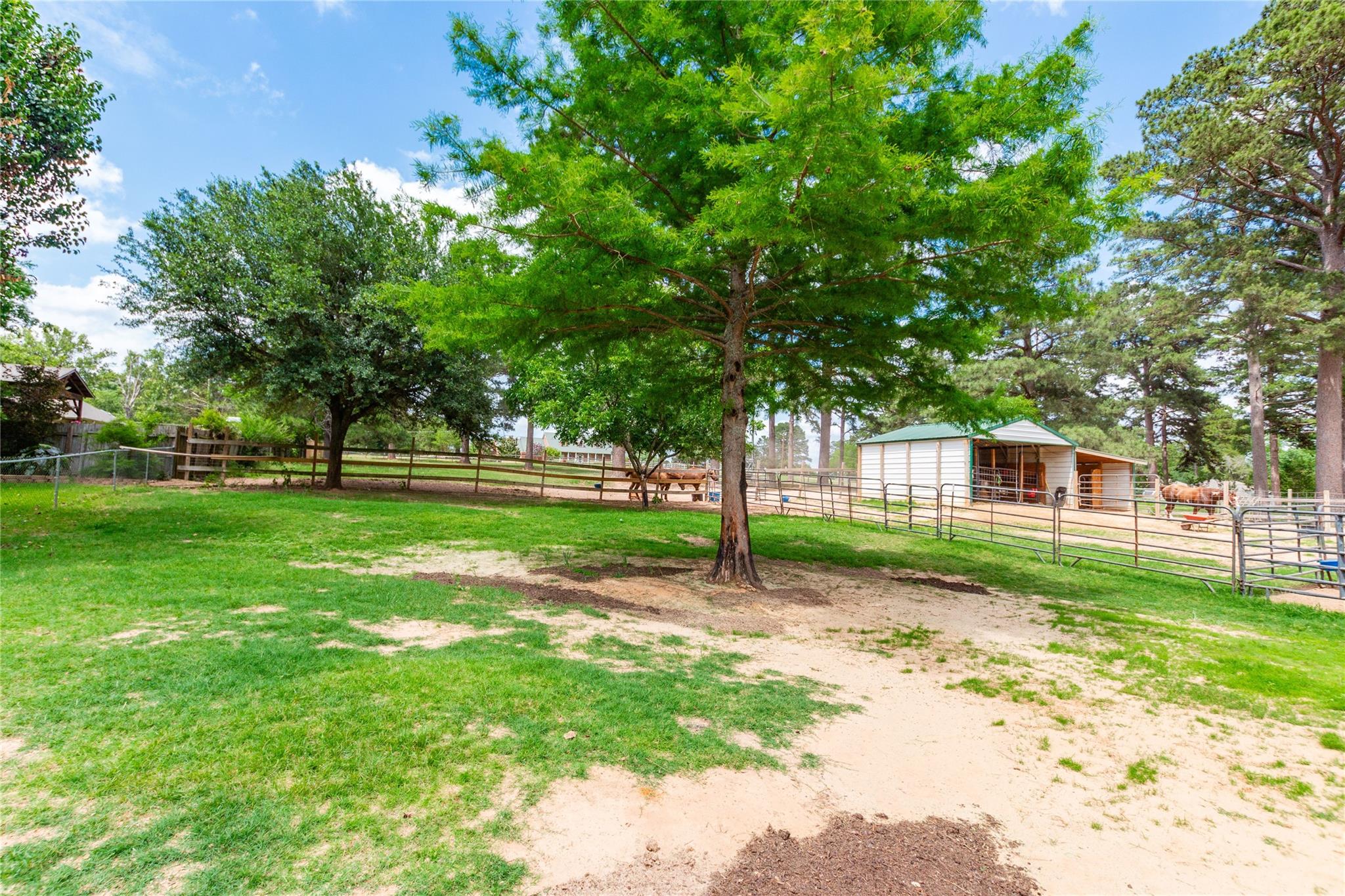 main property photo 33