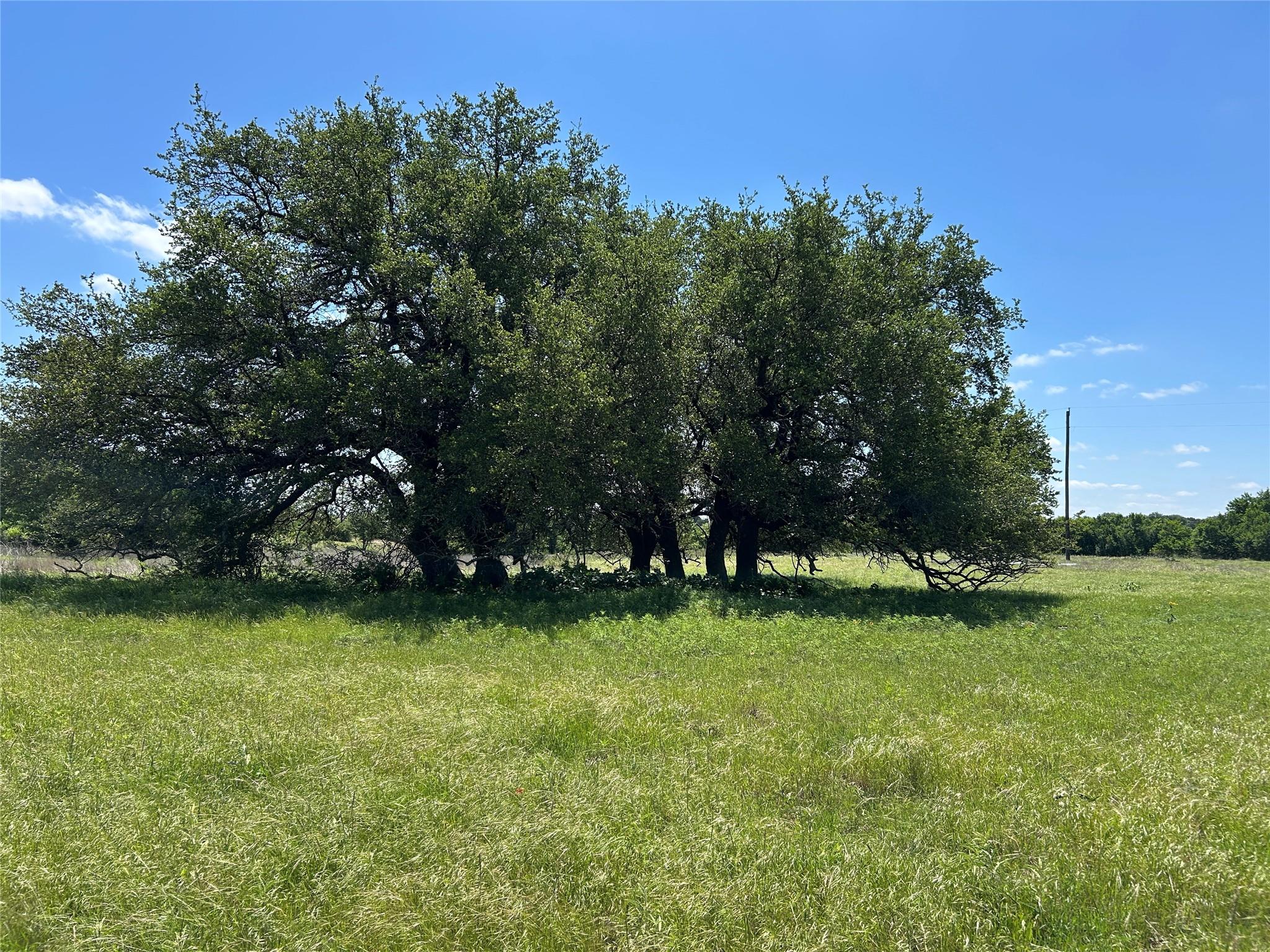 main property photo 27
