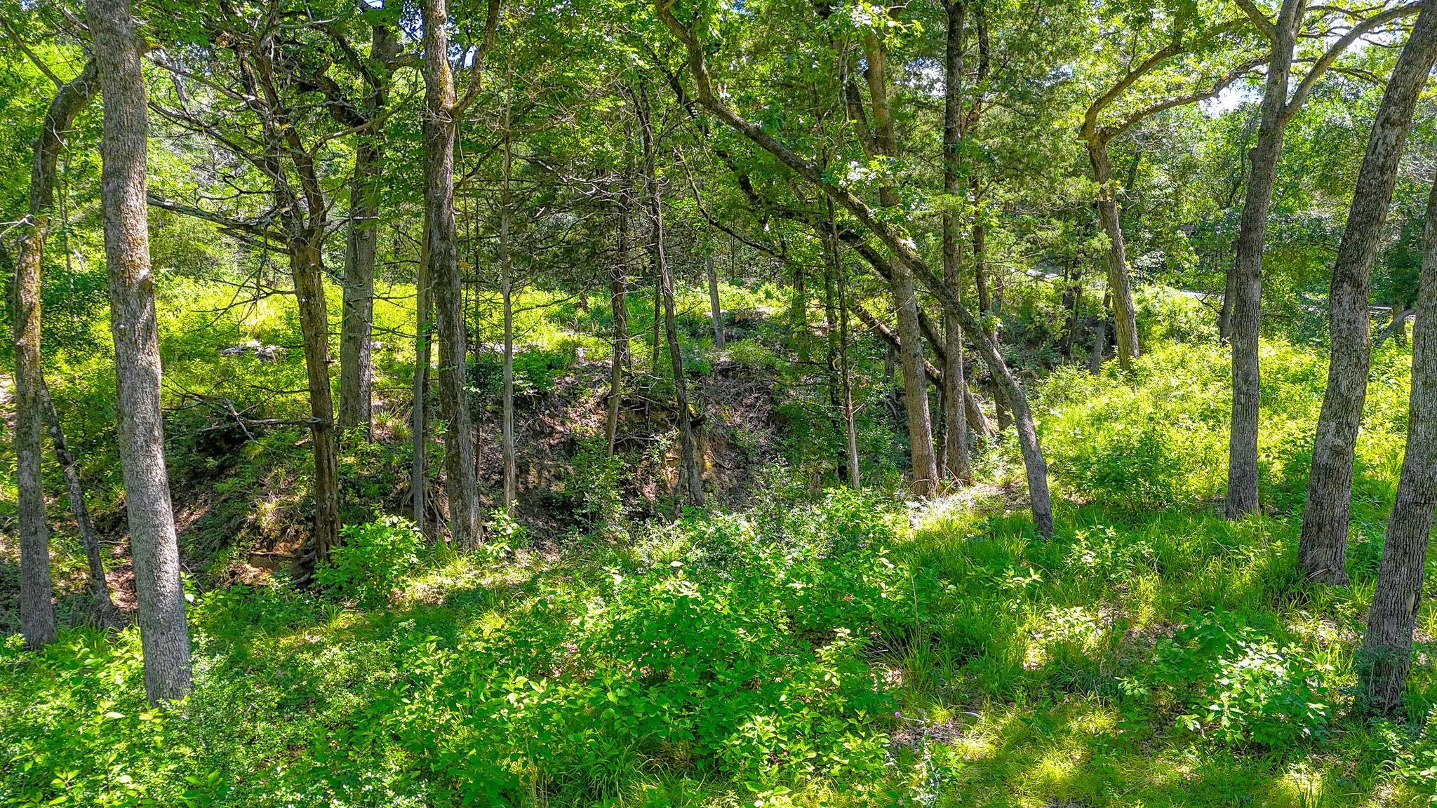 main property photo 21