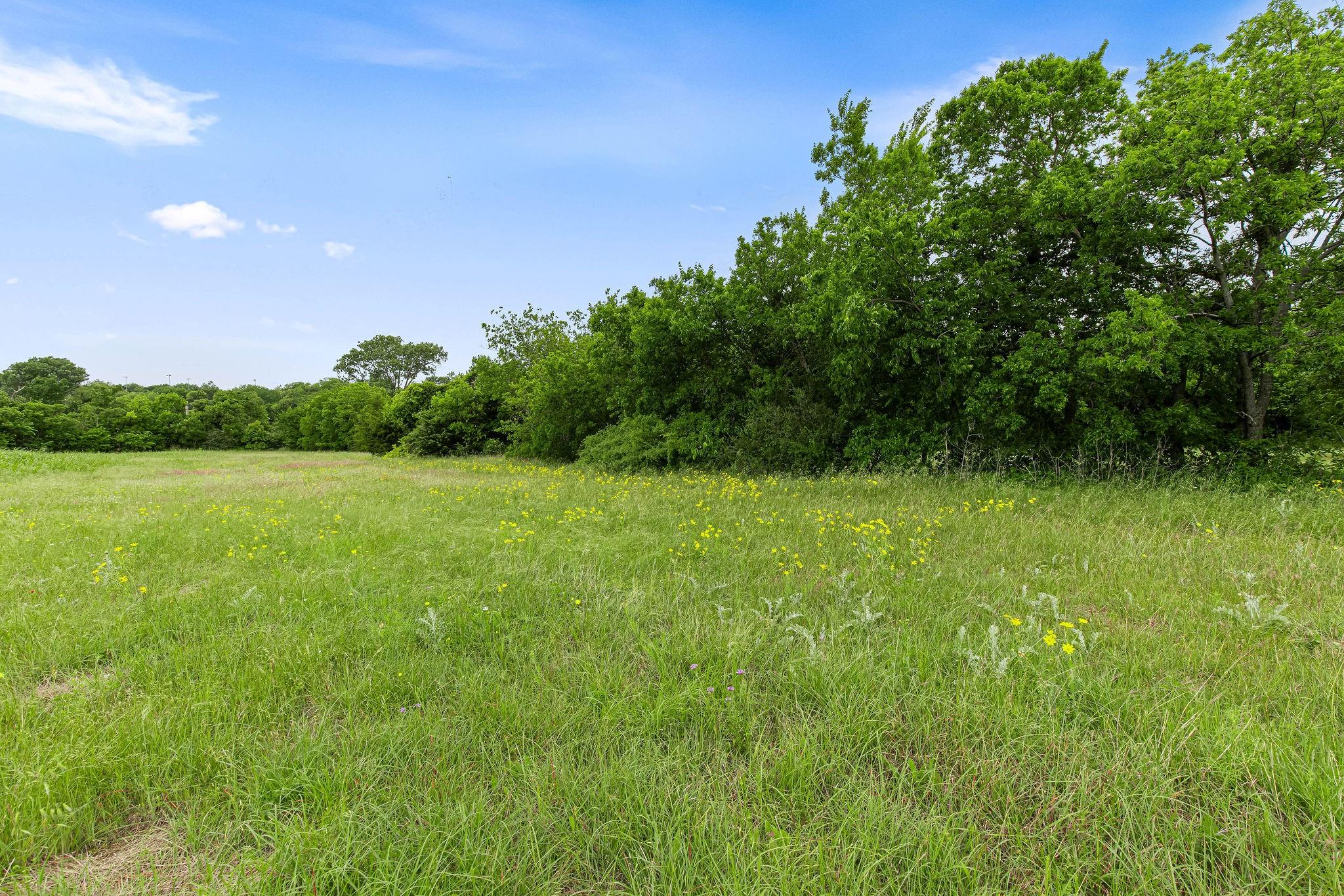 main property photo 13