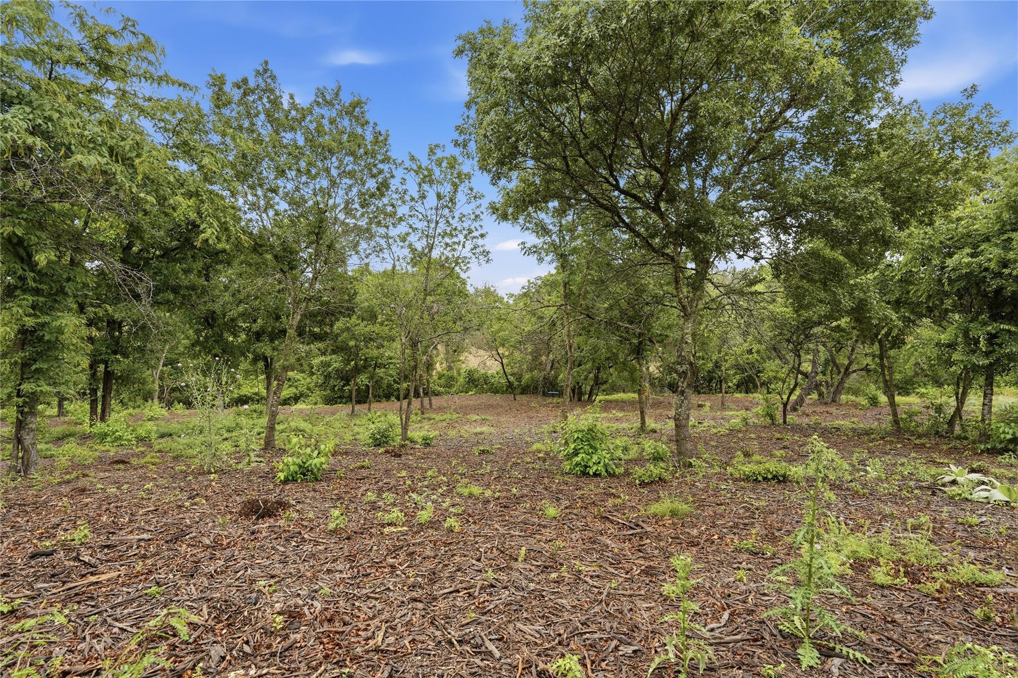 main property photo 11