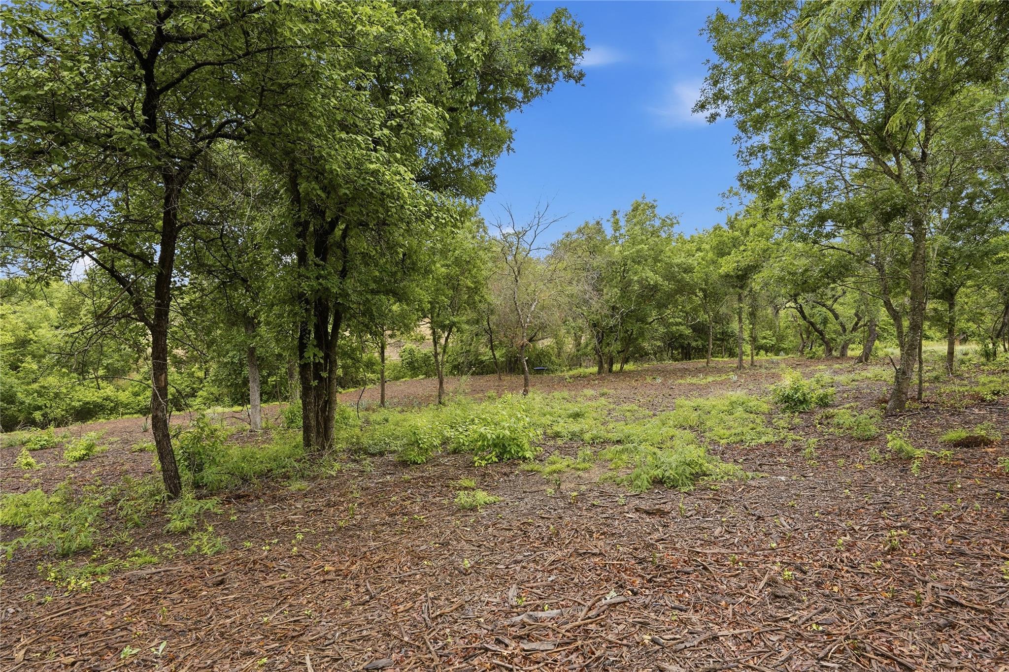 main property photo 12