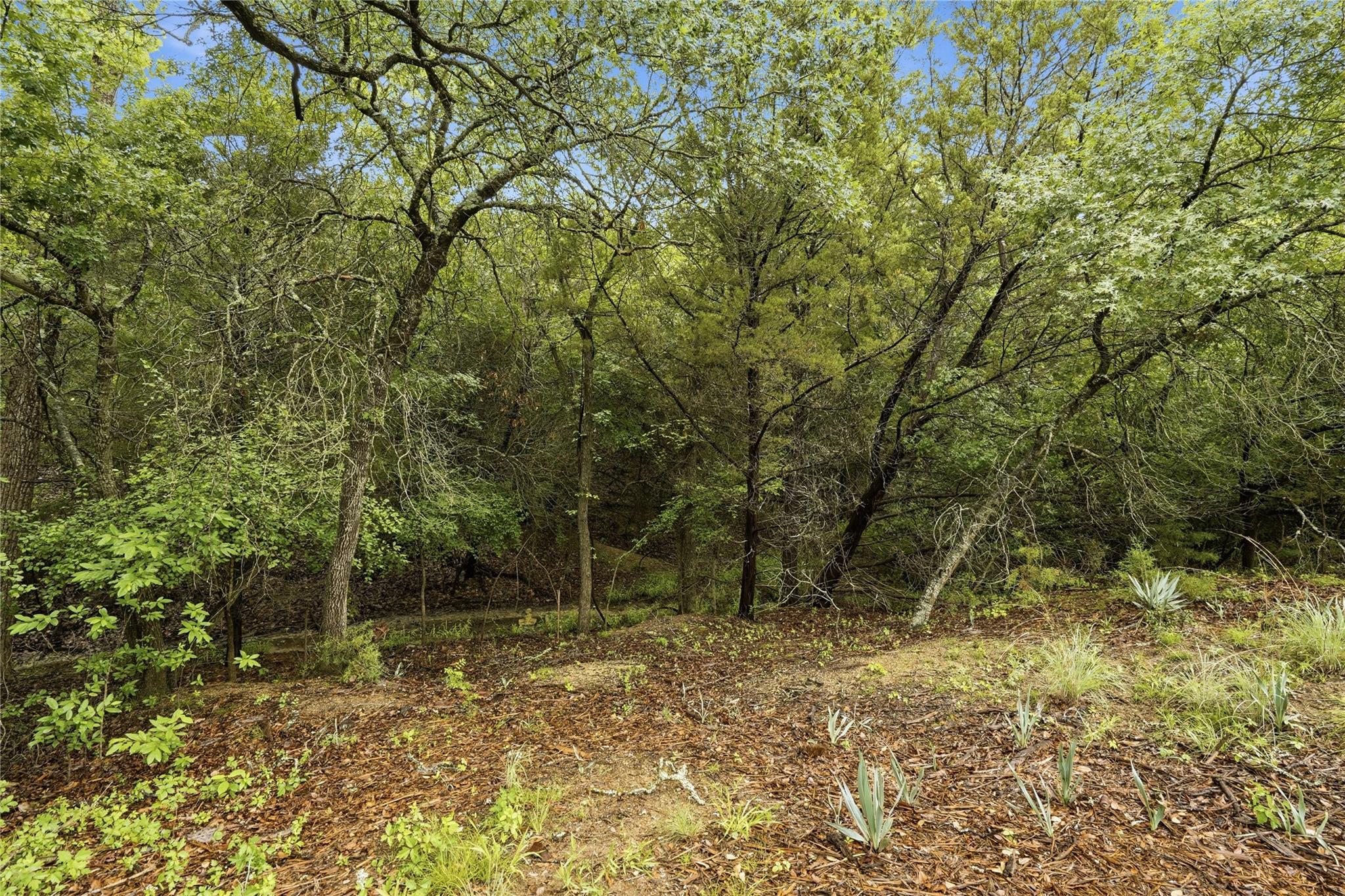 main property photo 17