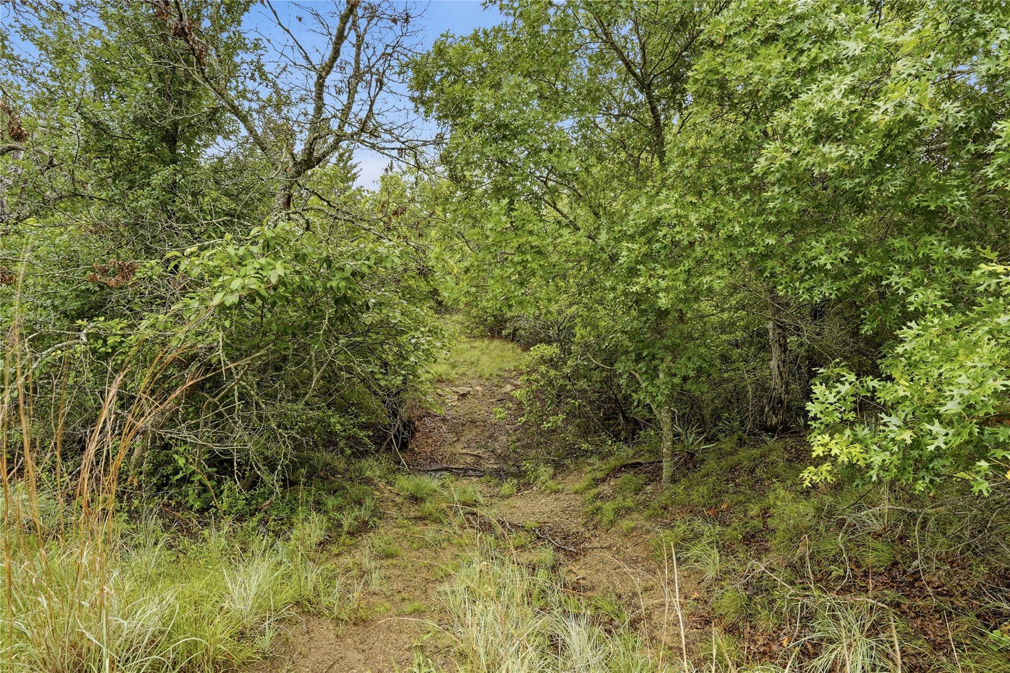 main property photo 24