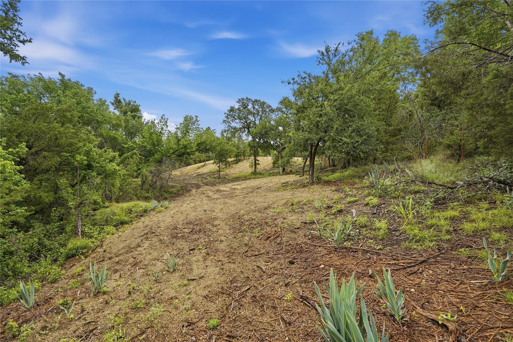 main property photo 25