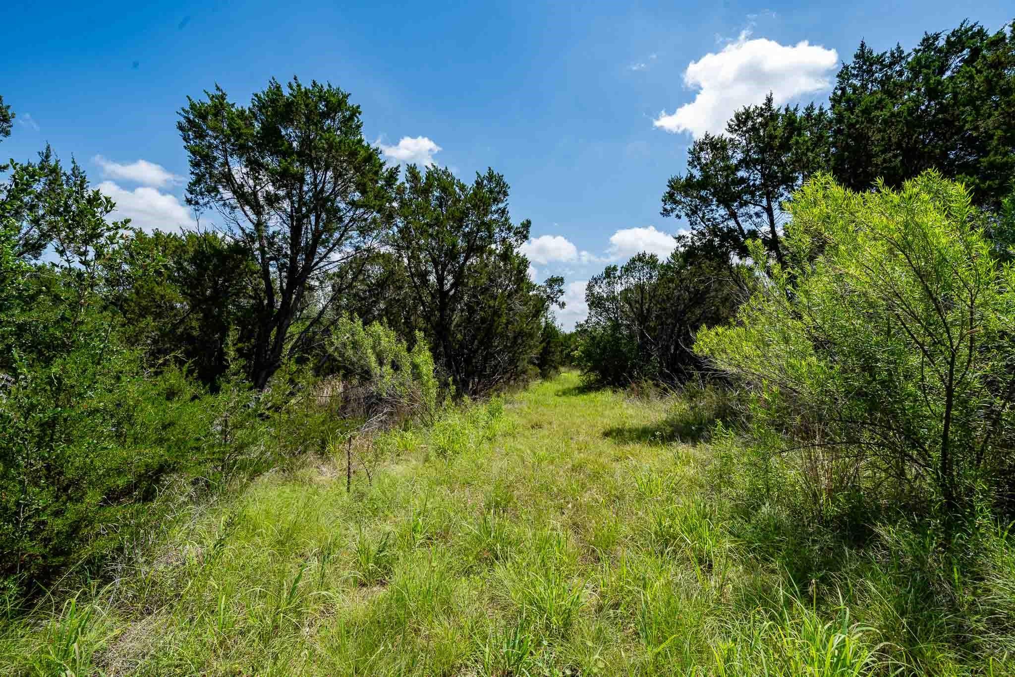 main property photo 11