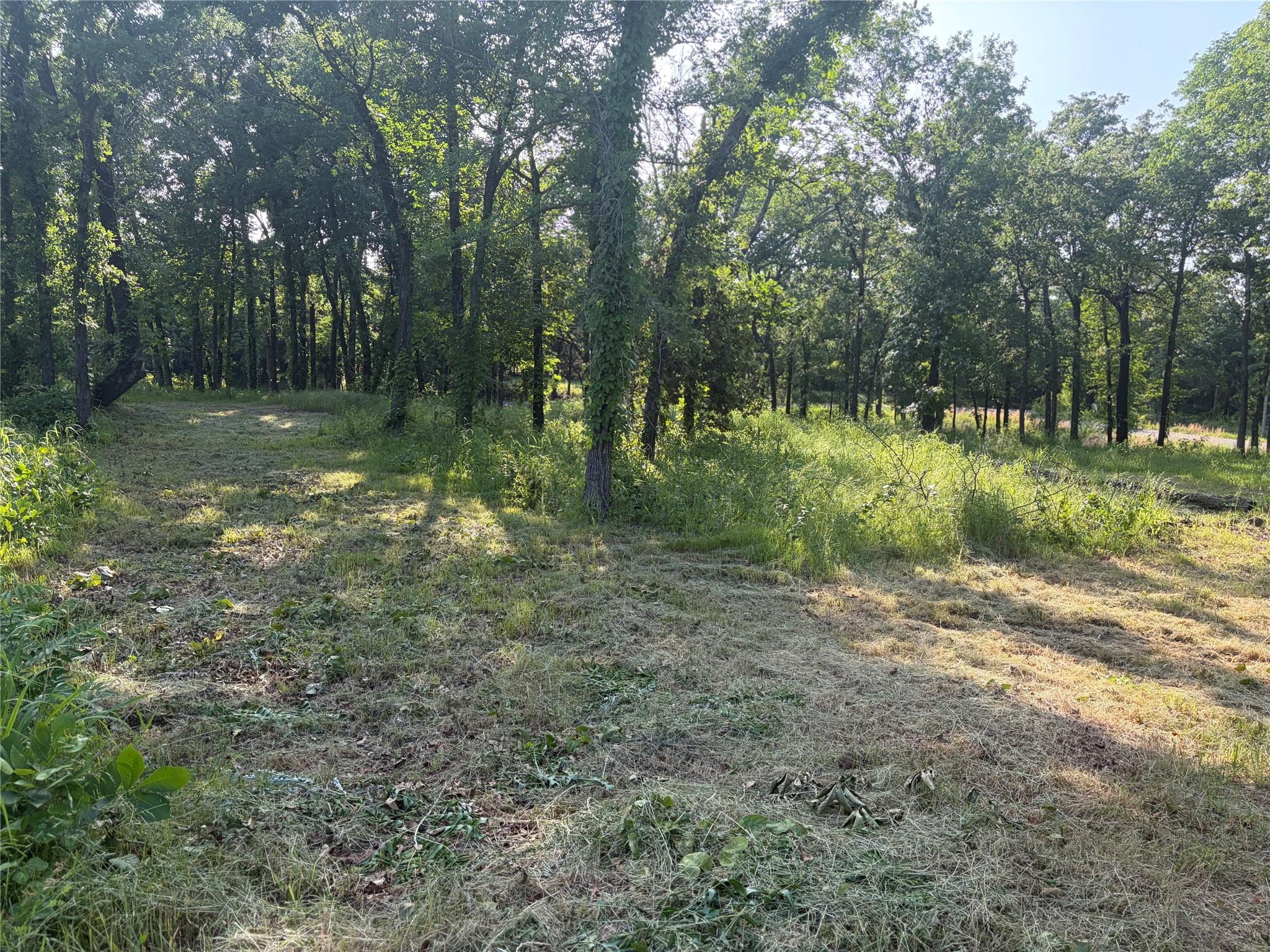 main property photo 6