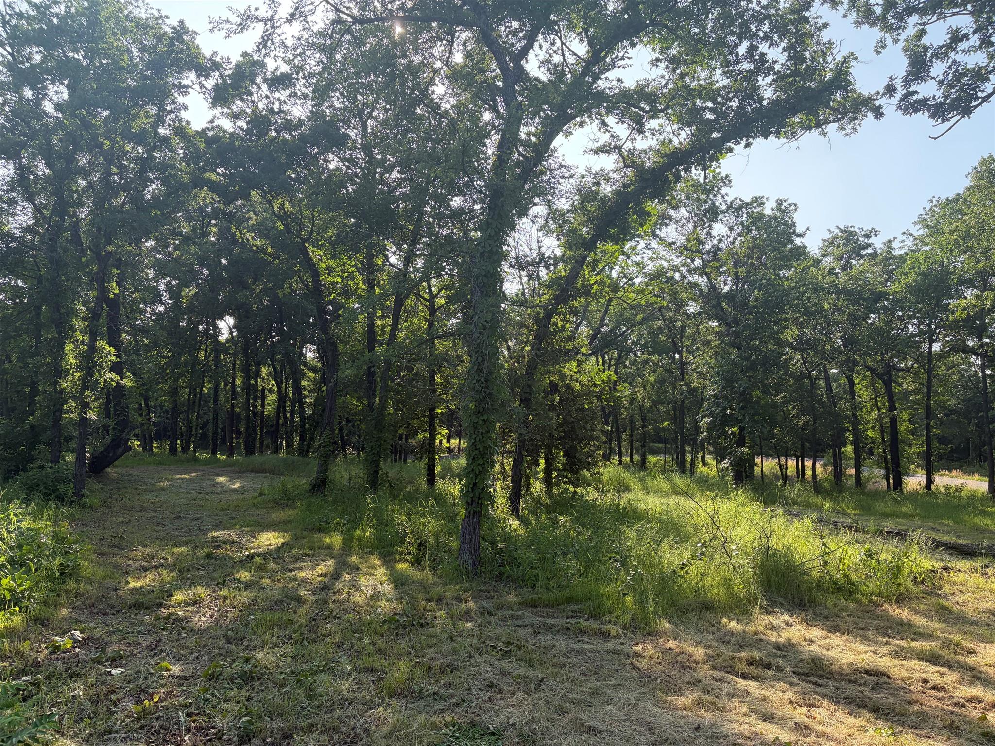 main property photo 7