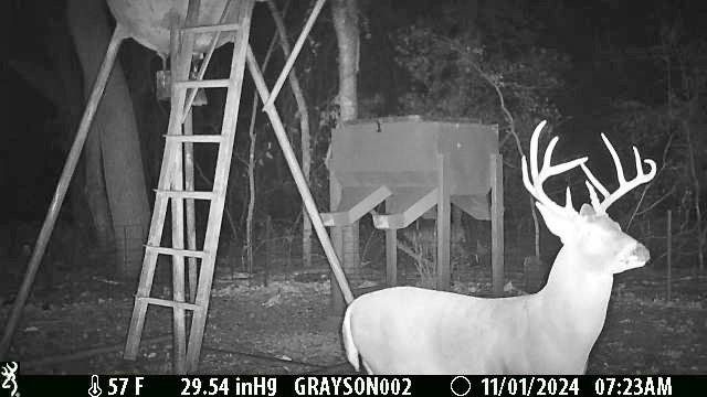 main property photo 15