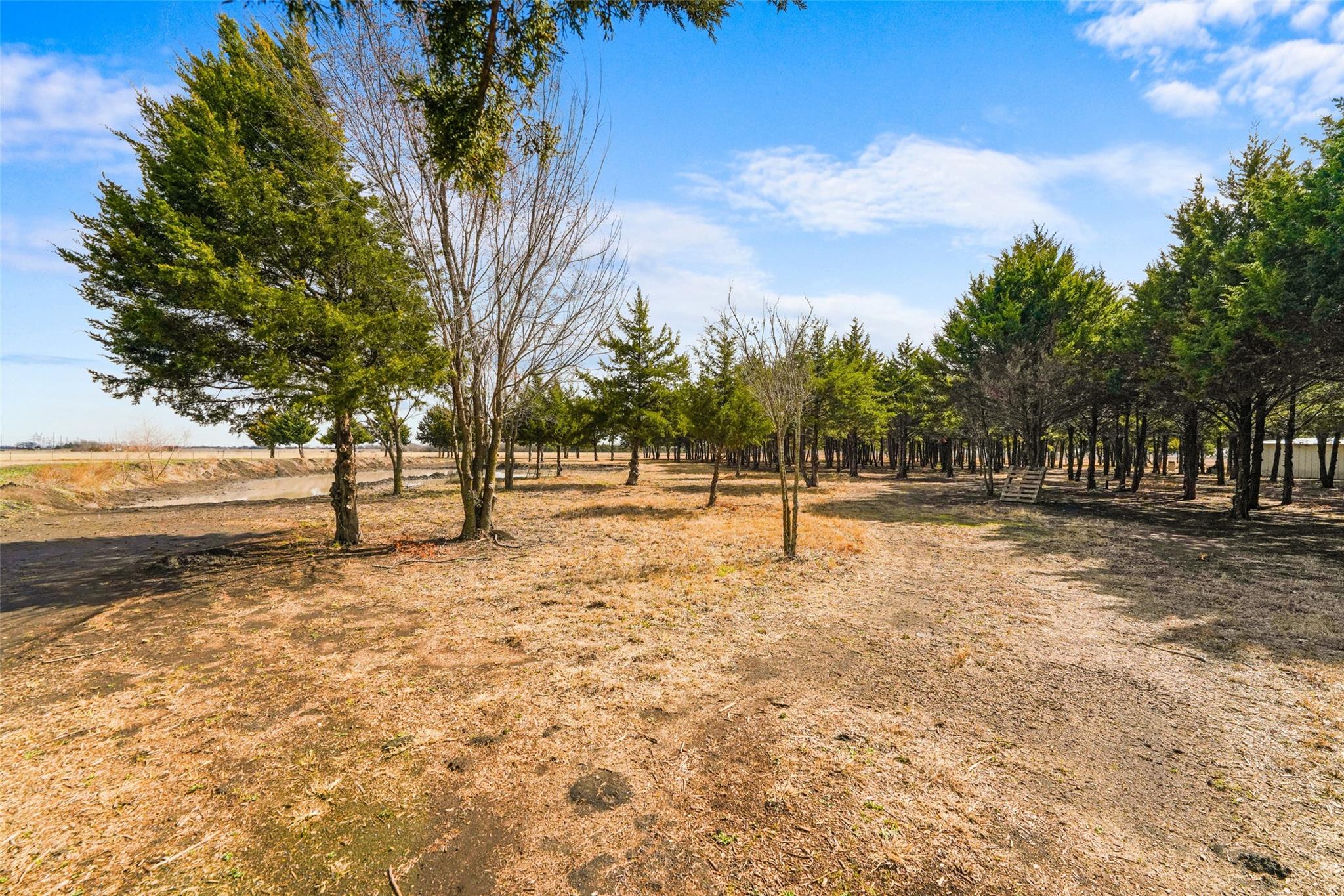 main property photo 12