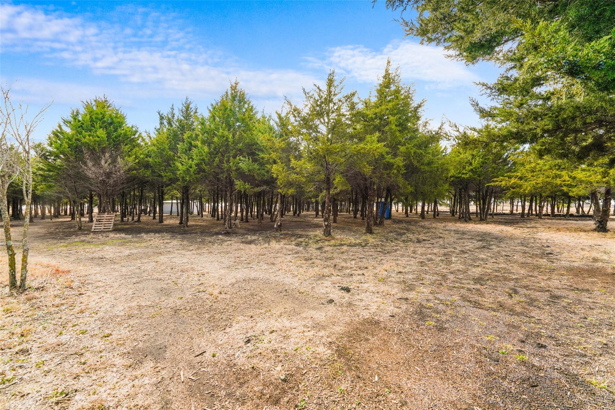 main property photo 8
