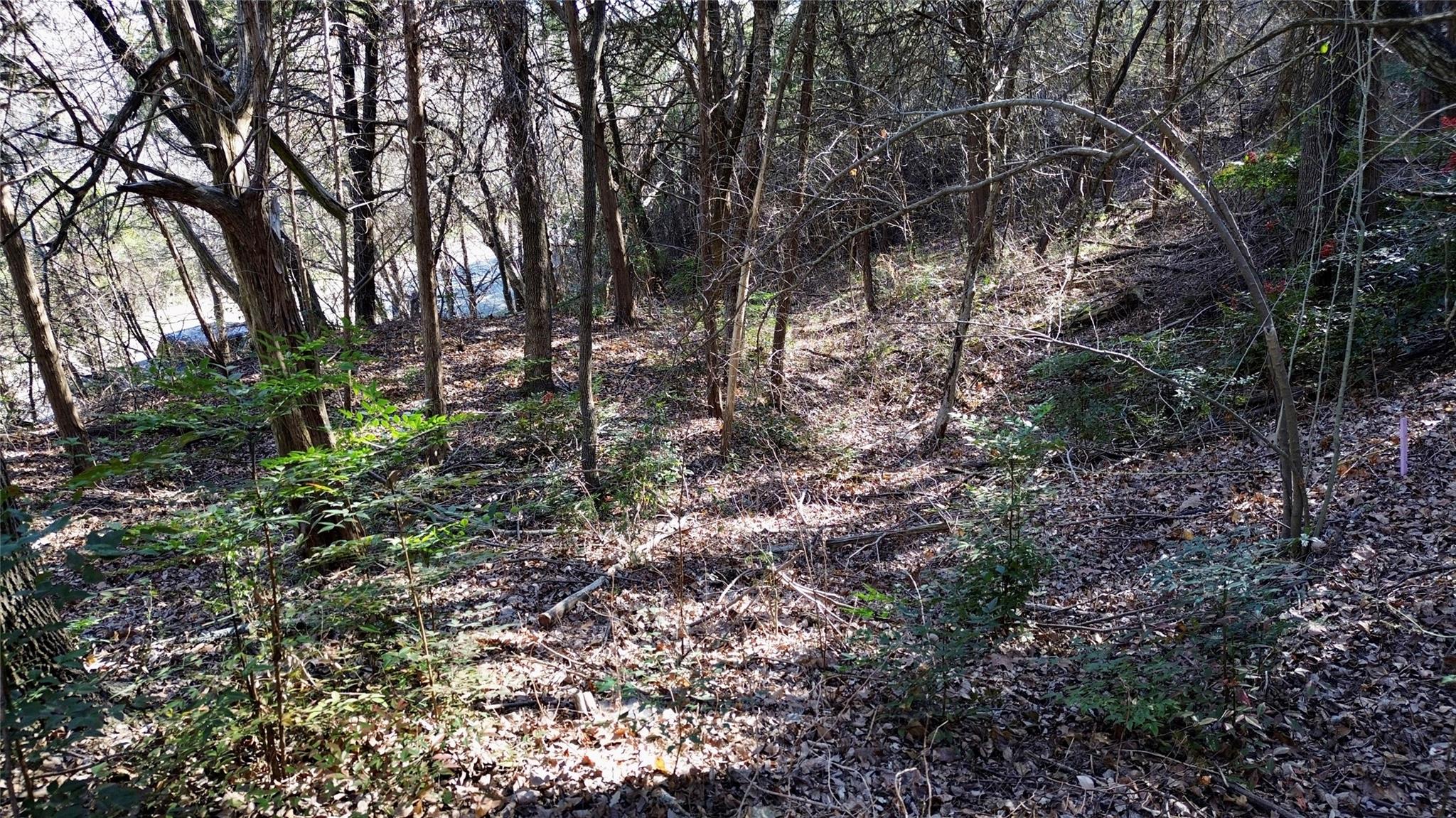 main property photo 13