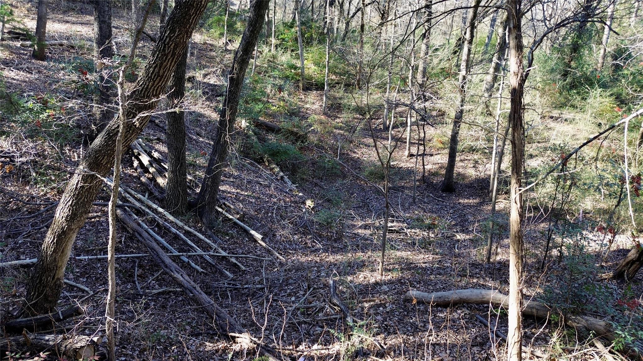 main property photo 16