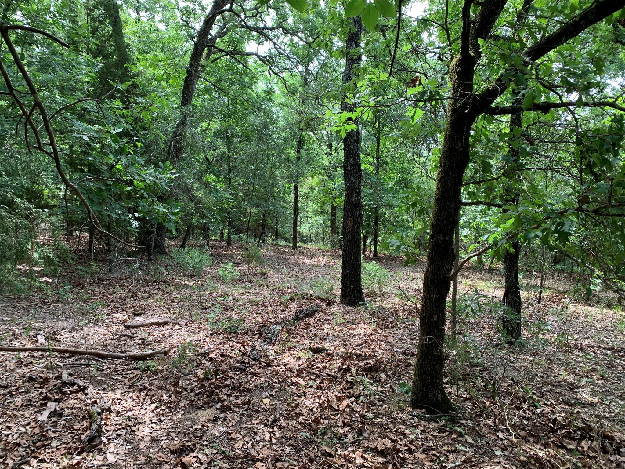 main property photo 13