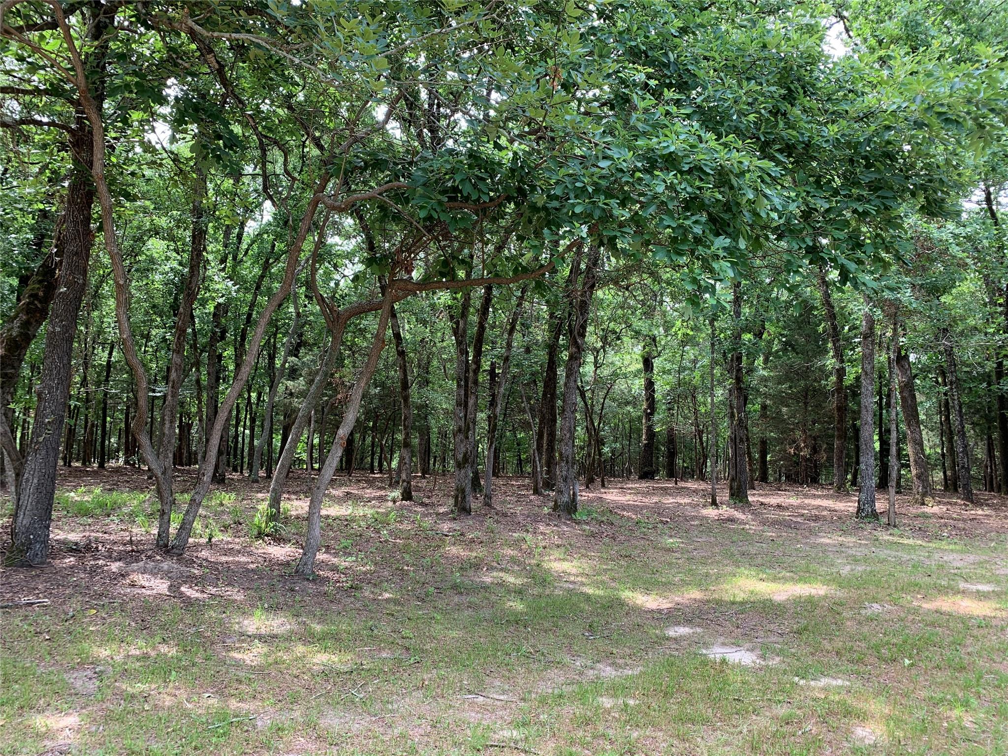 main property photo 7