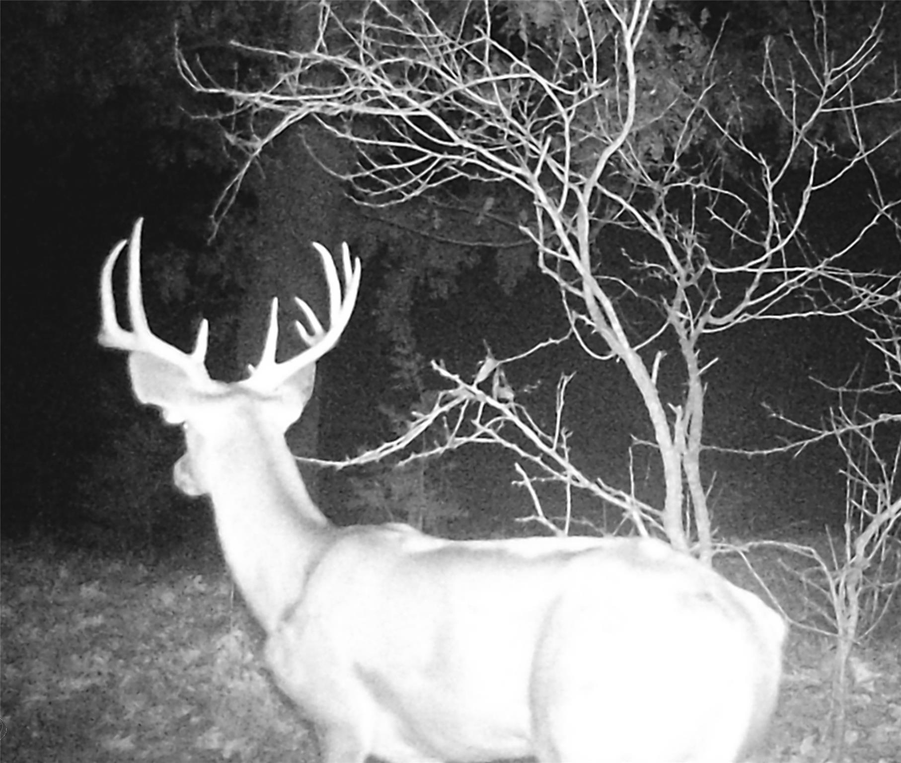 main property photo 21
