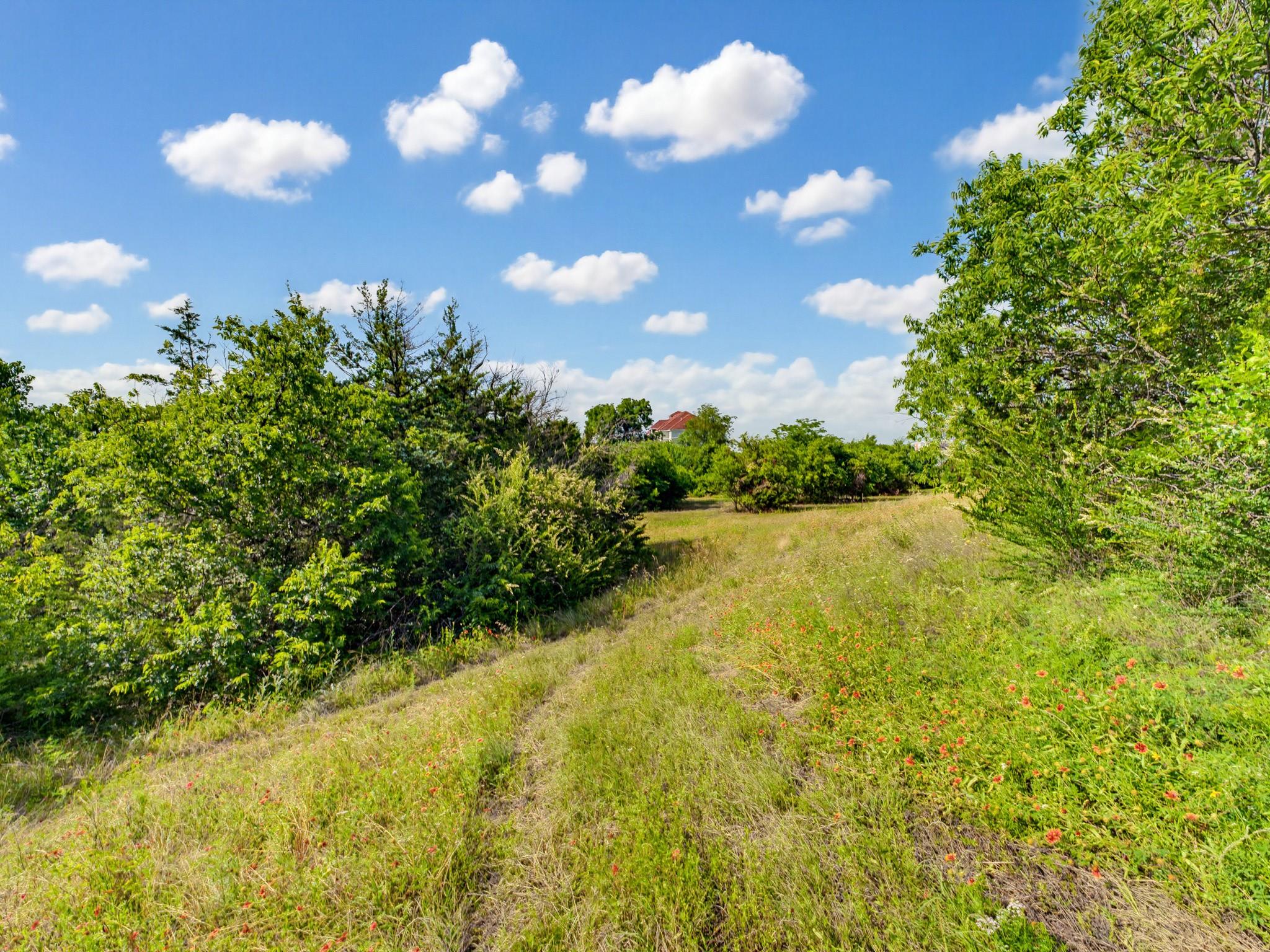 main property photo 37