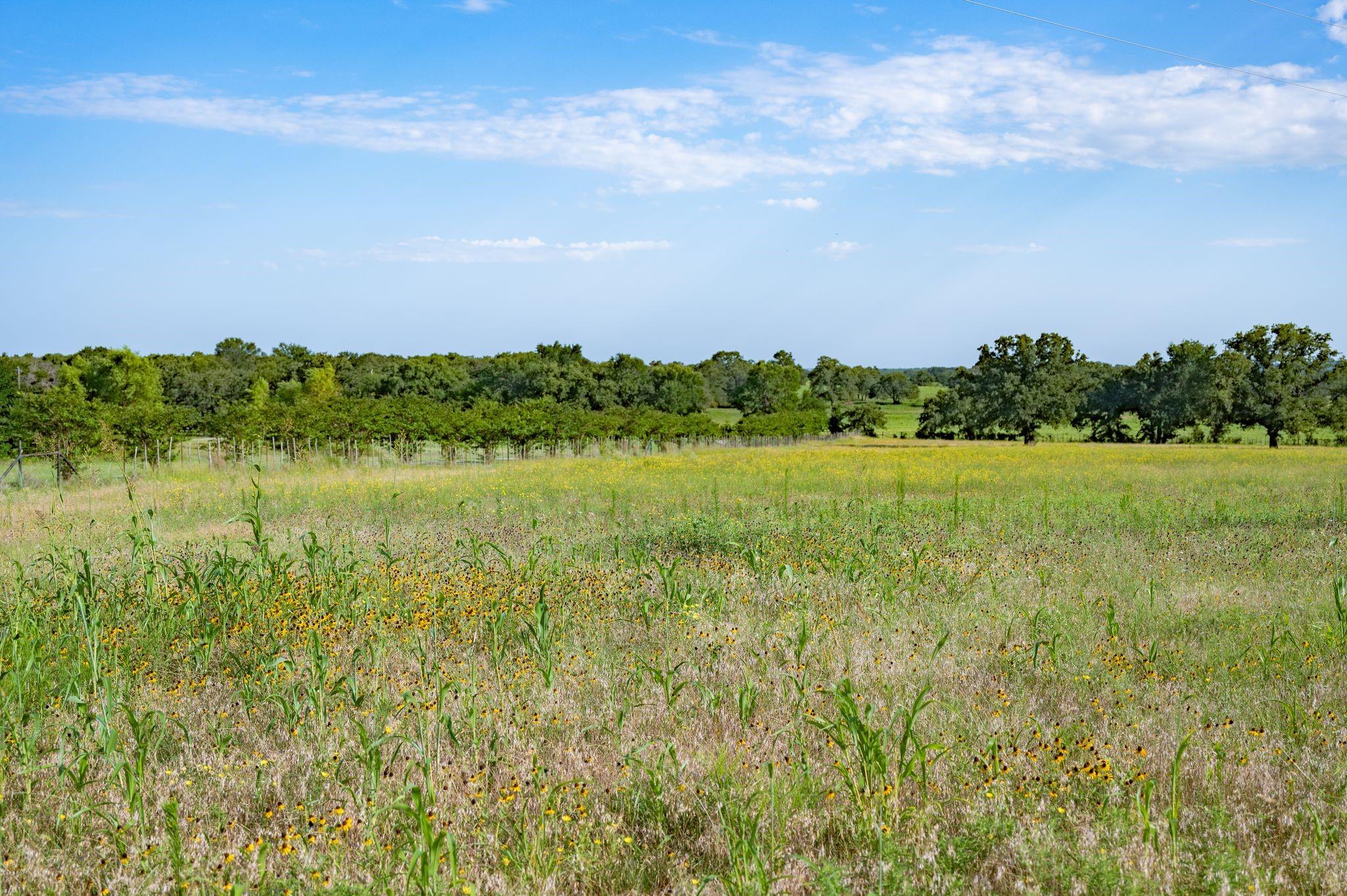 main property photo 36