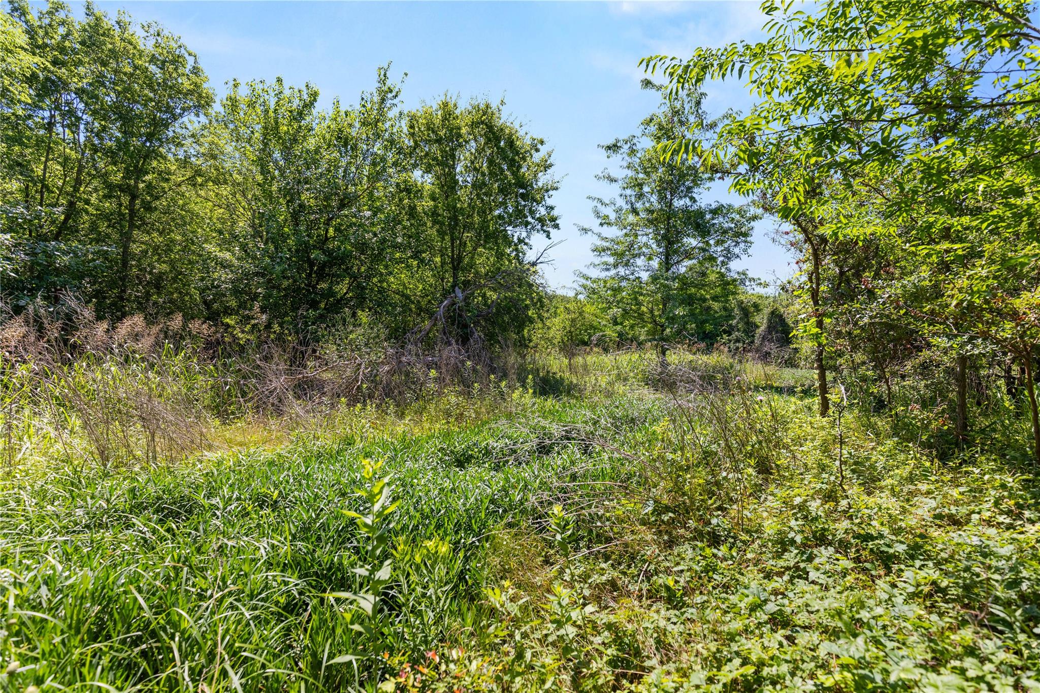 main property photo 16