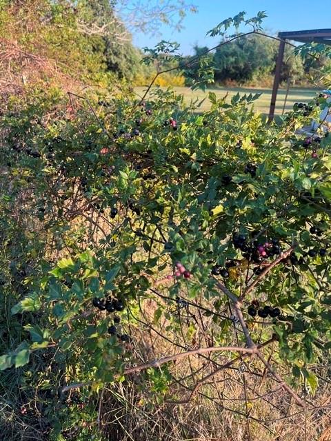 main property photo 24
