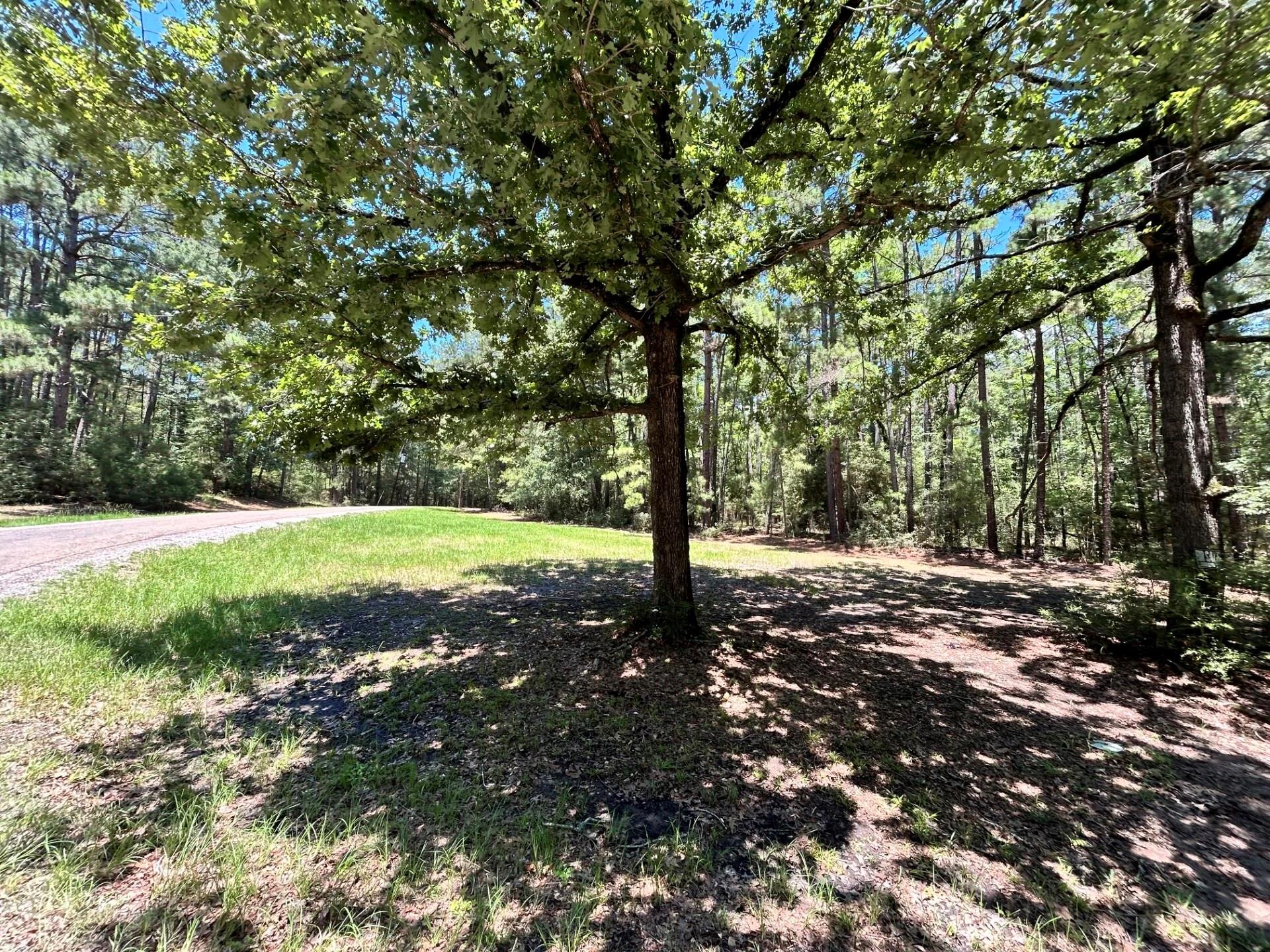 main property photo 11
