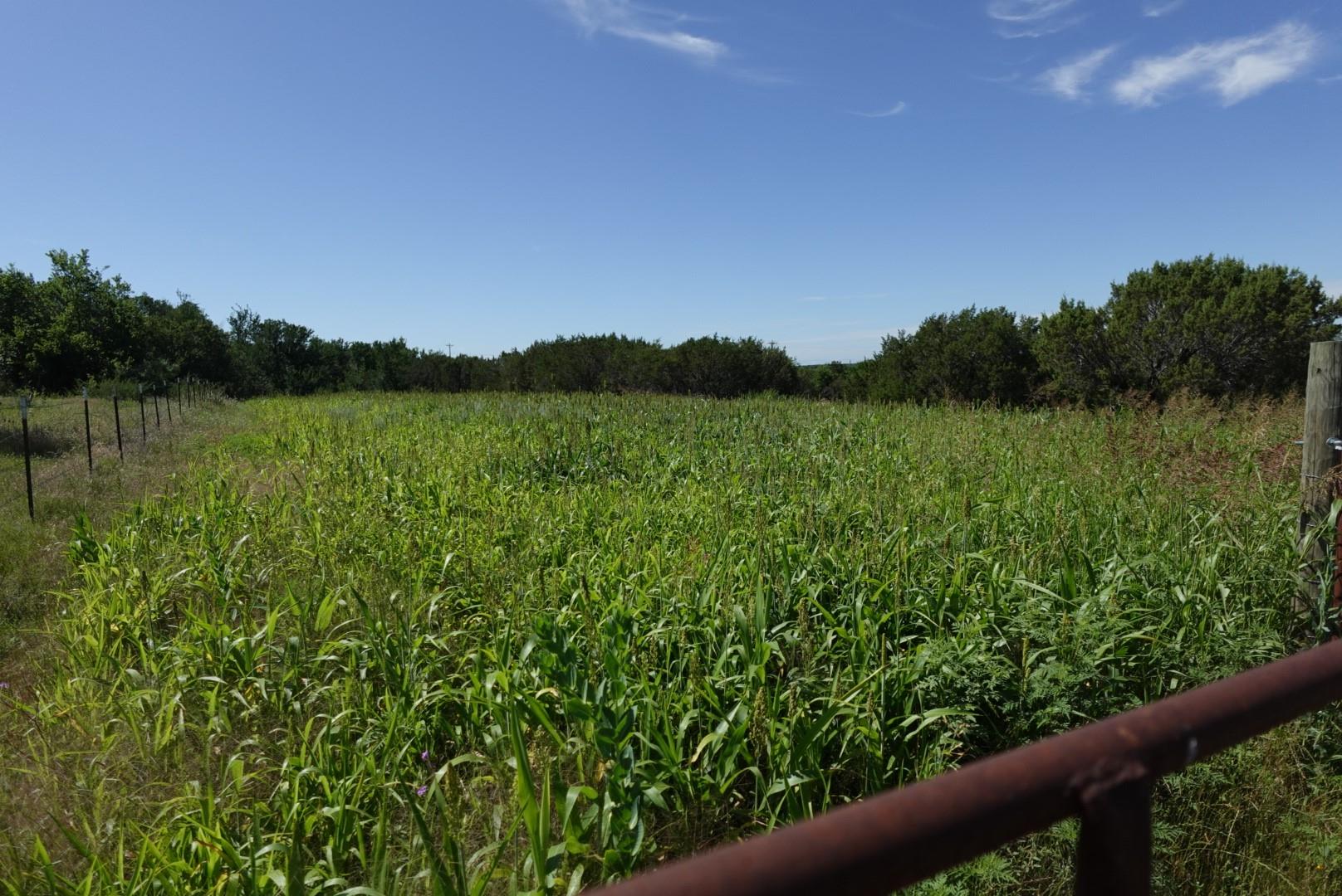 main property photo 19