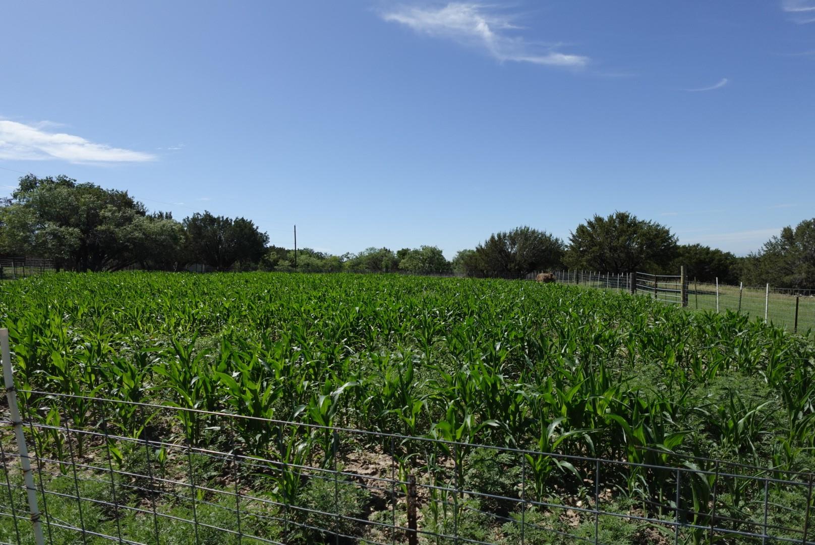 main property photo 21