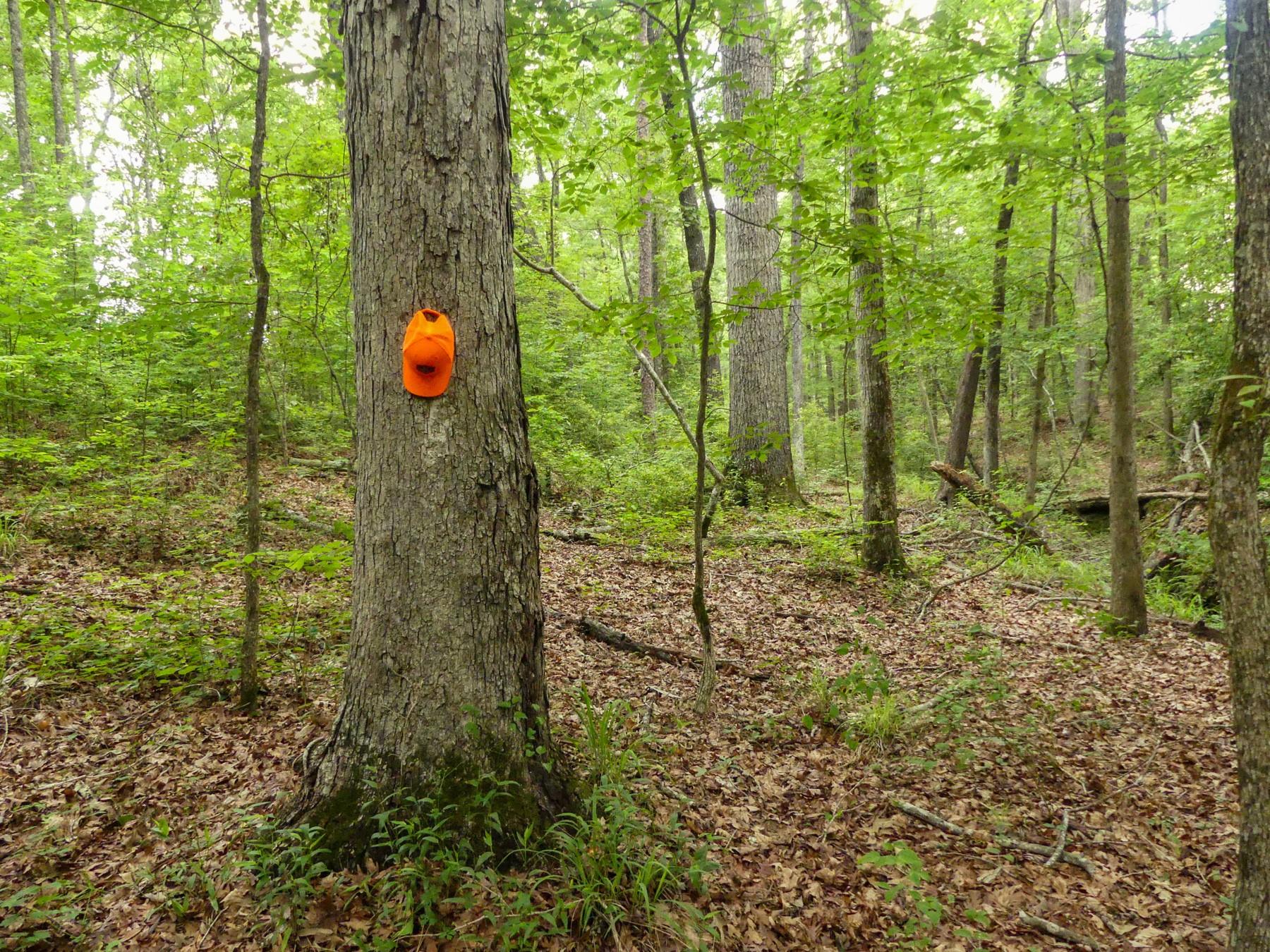 main property photo 34