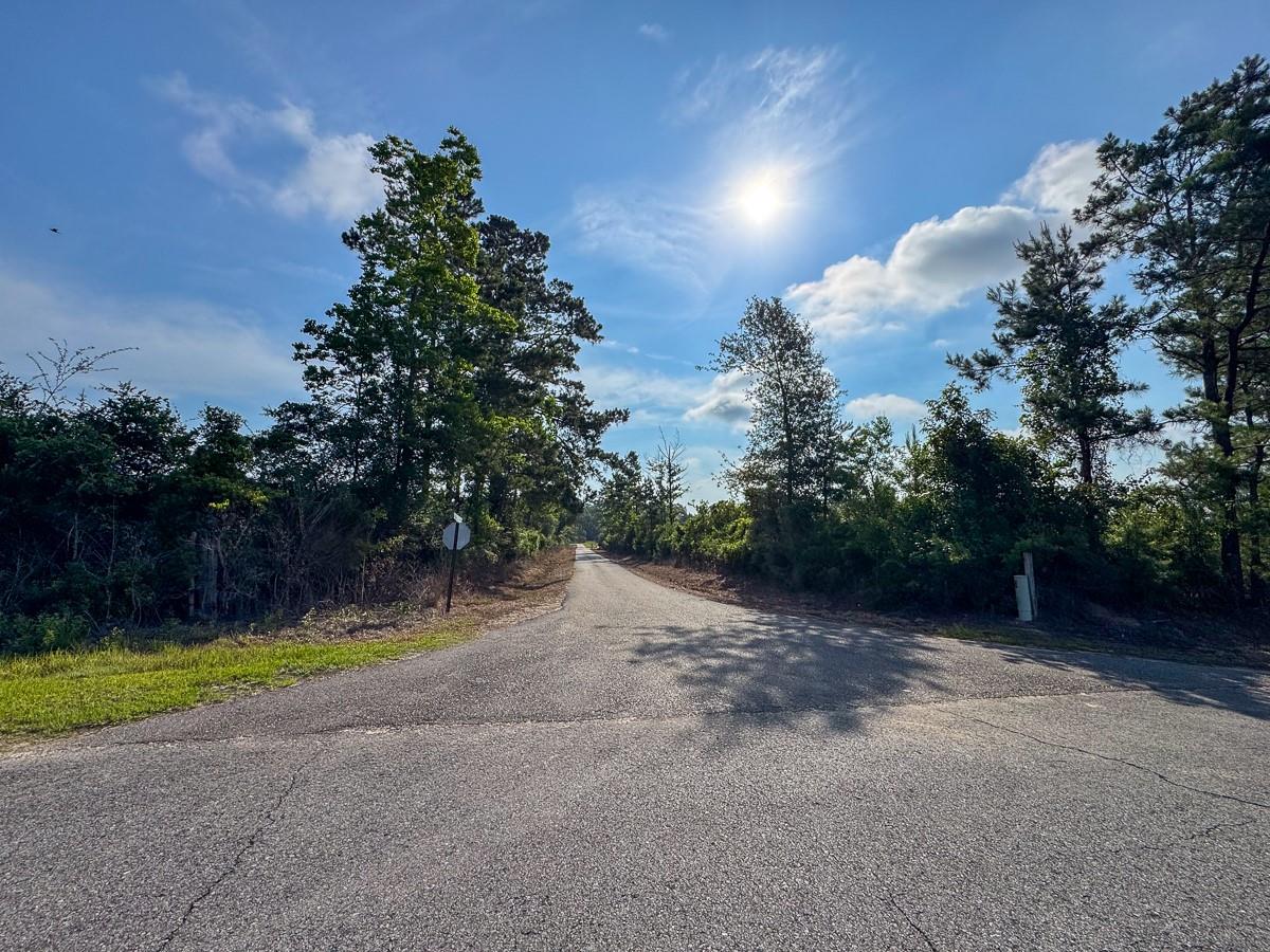 main property photo 10