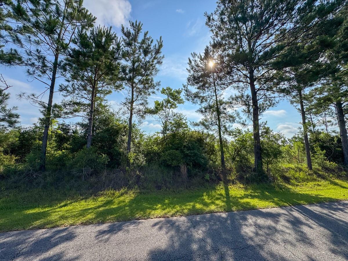 main property photo 9