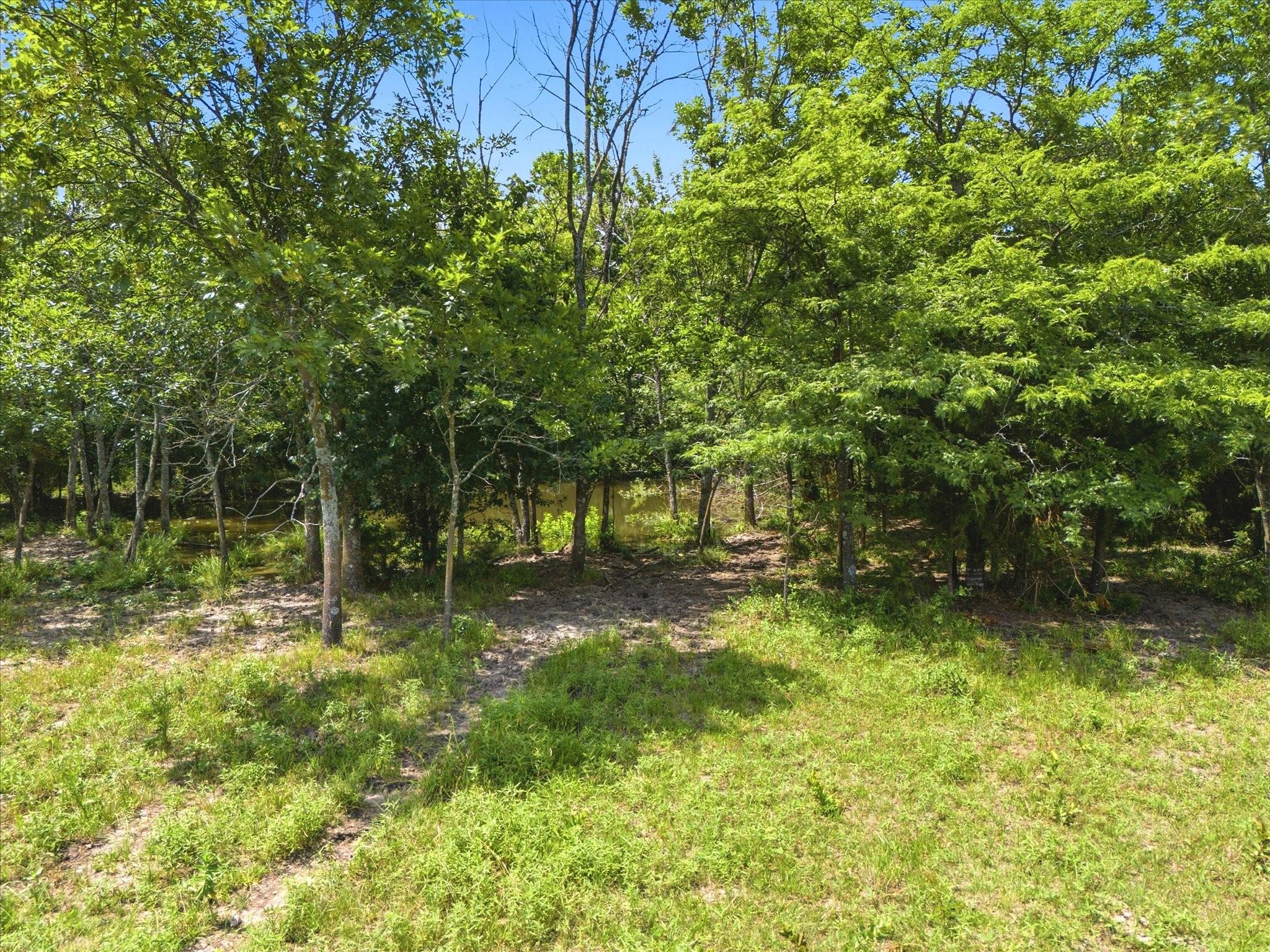 main property photo 12