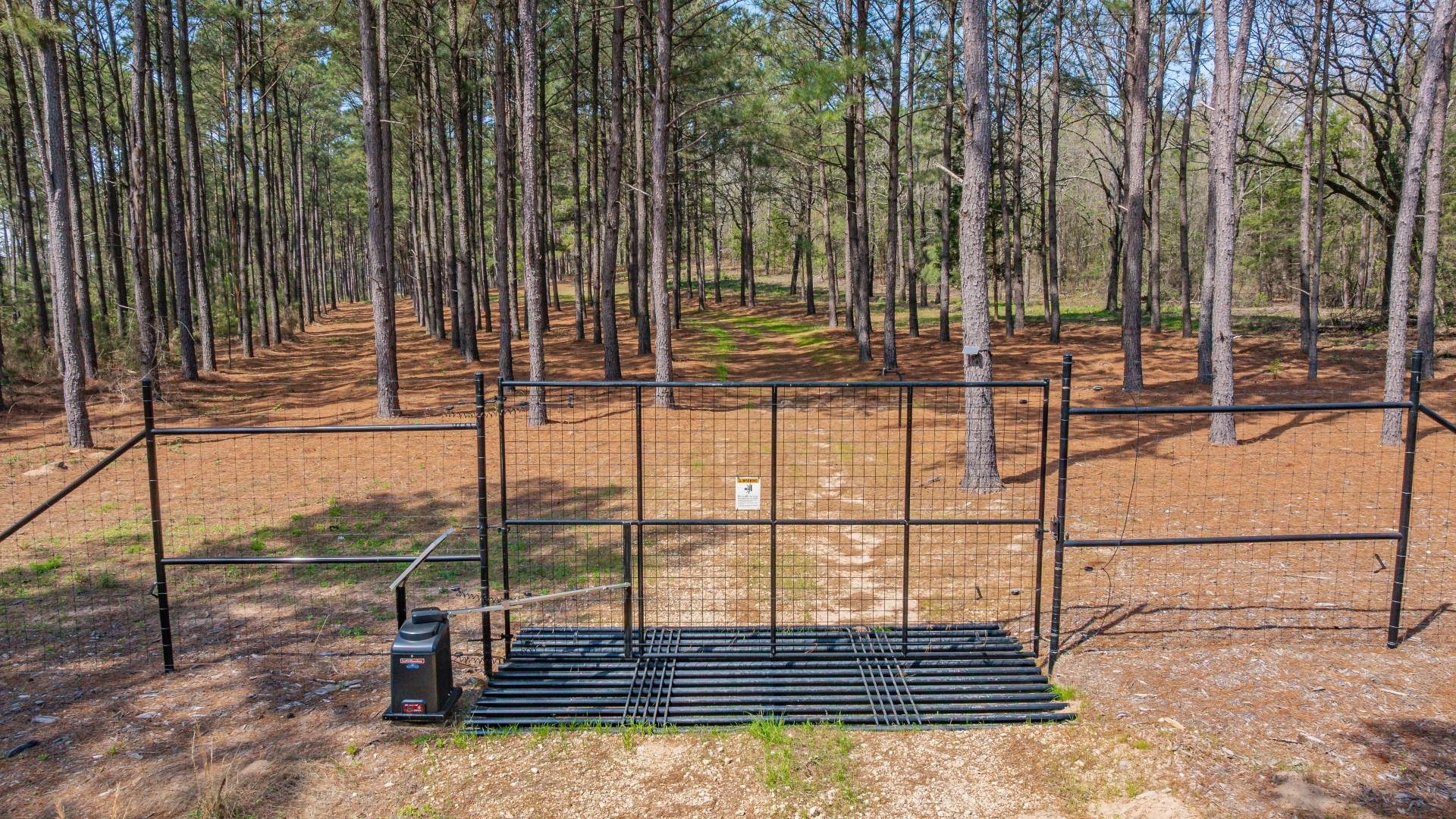 main property photo 19