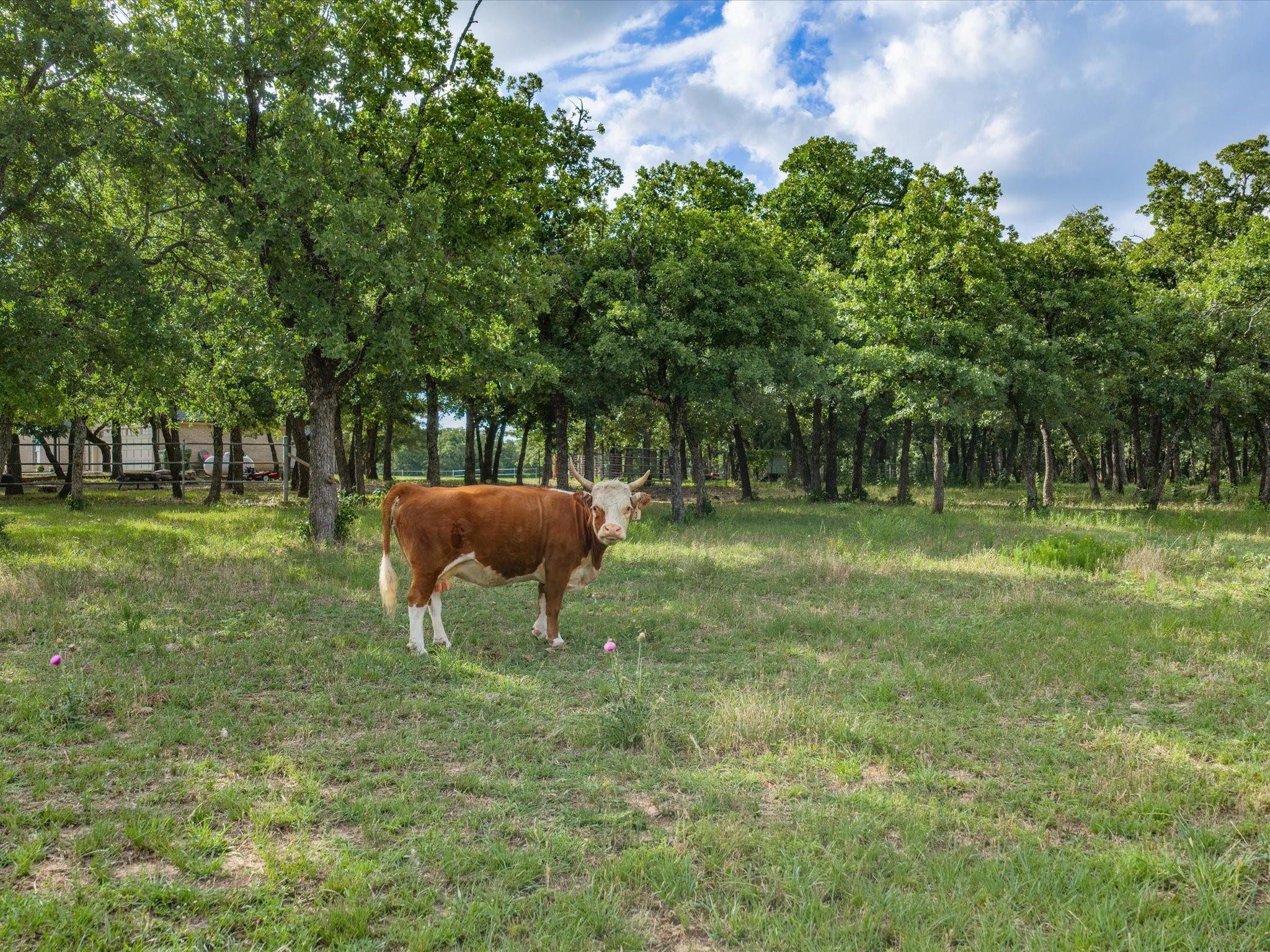 main property photo 26