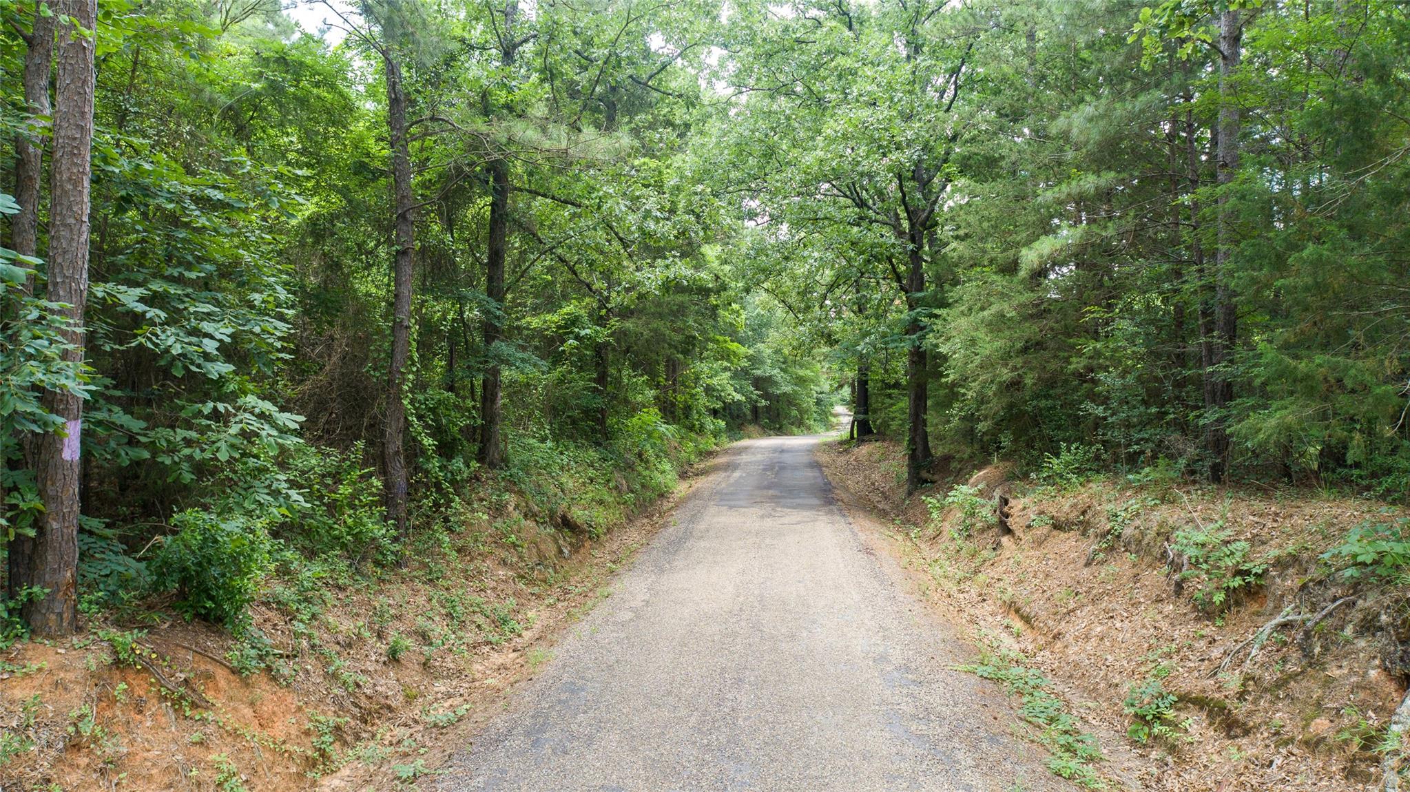main property photo 17