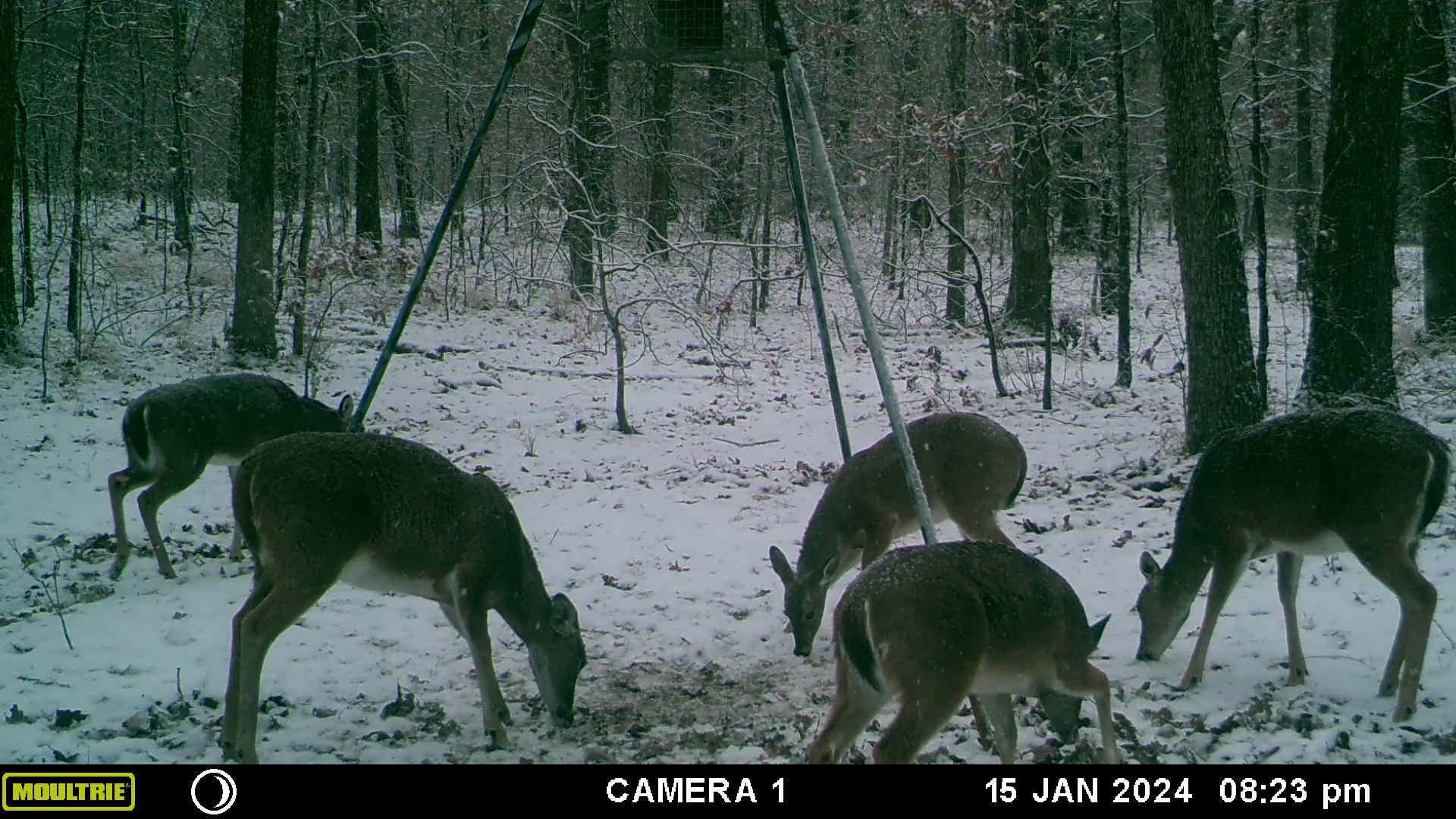 main property photo 9